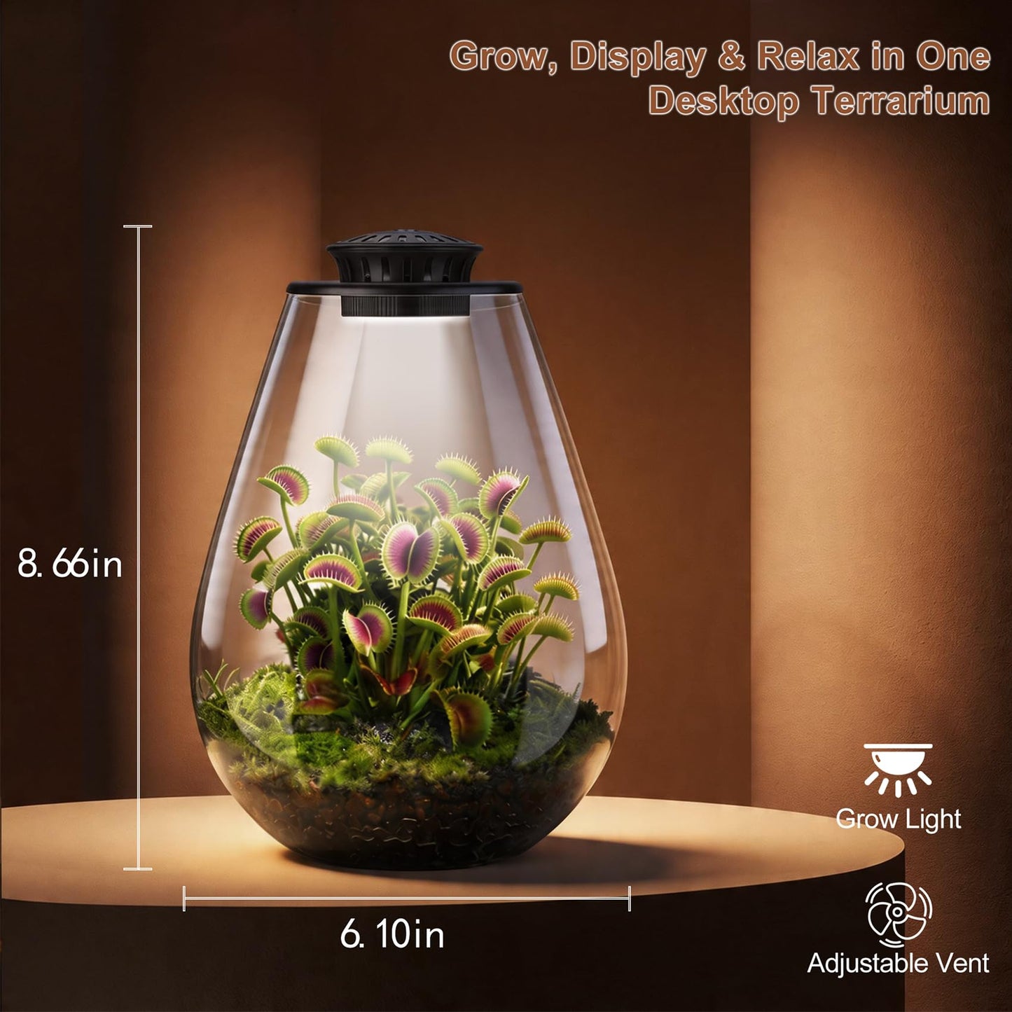 Xyingshine Glass Plant Terrarium with LED Grow Light, 7.8" Borosilicate Terrarium with Adjustable Ventilation & Timer, for Venus Fly Trap, Moss, Succulents, Mini Landscape, Desk Decor for Home Office