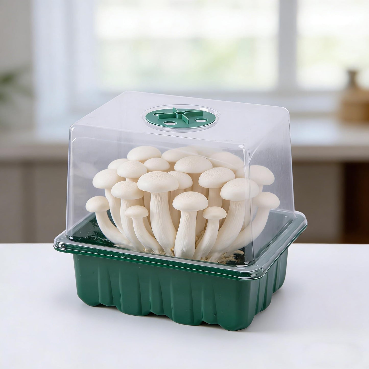 DECOHS 4 Pack Monotub Mushroom Grow Kit, 6.5" x 5" x 6.5" Small Mushroom Fruiting Chamber Propagation Boxes, Monotub Mushroom Growing Box Mini Greenhouse with Spray Bottle for Horticulture Supplies