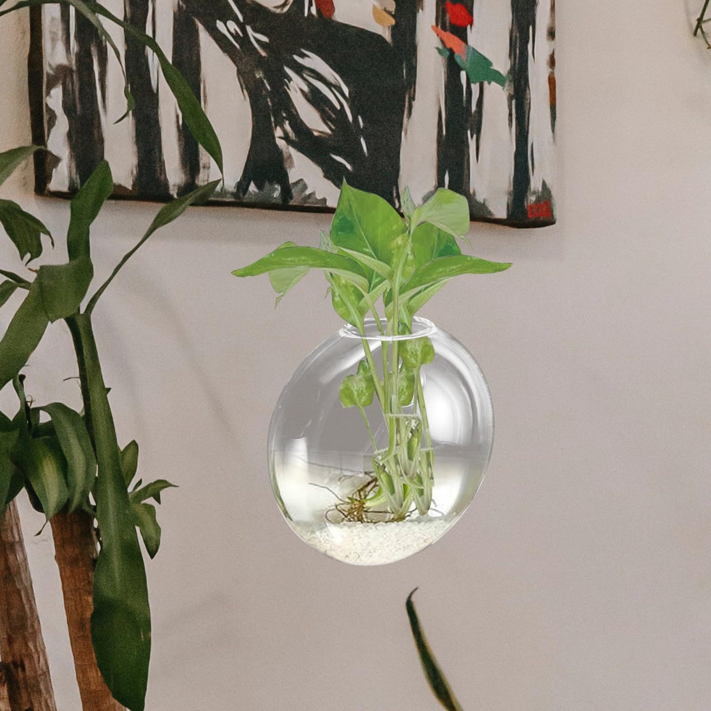 GRADENEVE Wall Hanging Glass Terrarium Planter Vase Hydroponic Flower Holder Glass Plant Bottle Decorative Home Décor for Indoor Use,