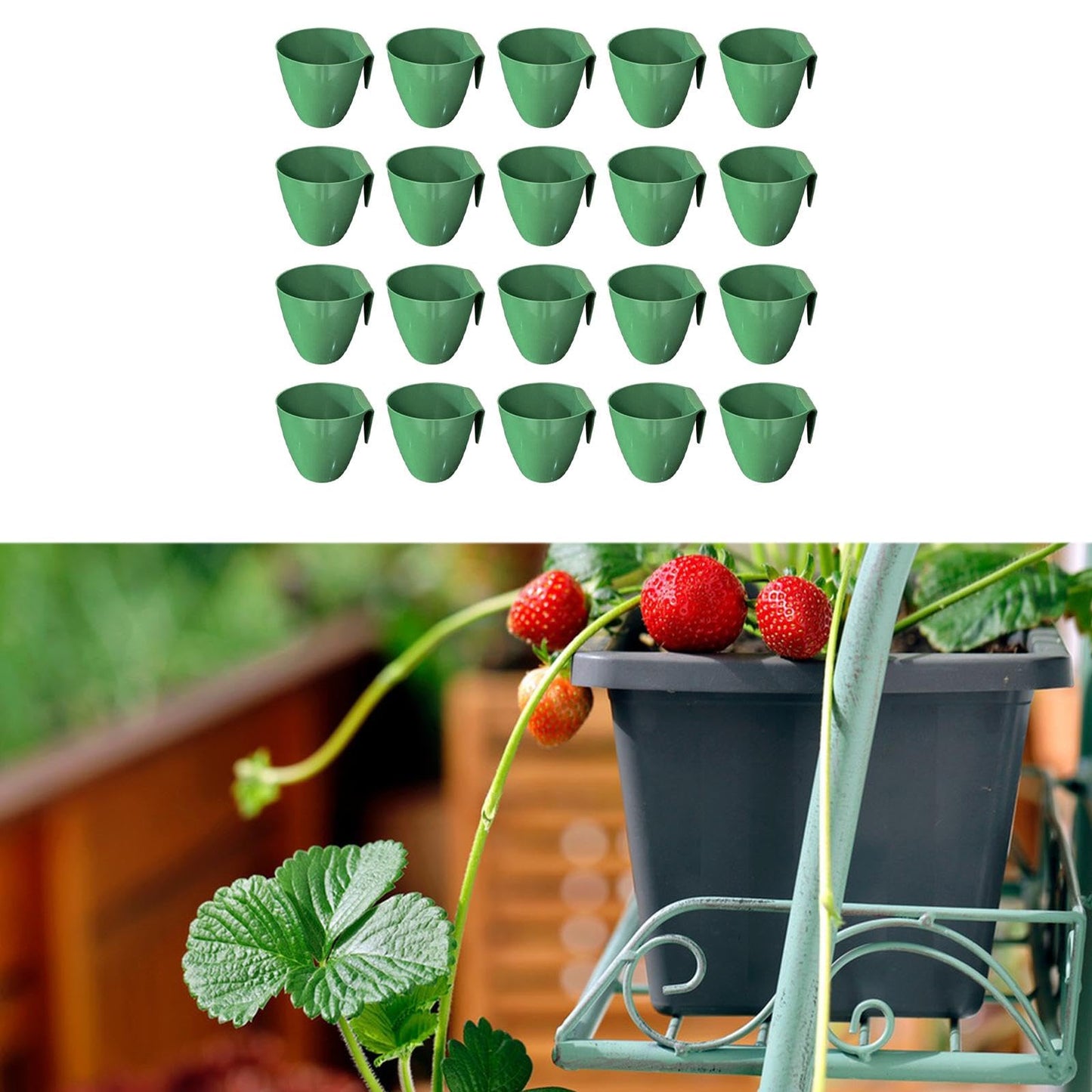 MFMEXUL 20 Strawberry Seed Cups, Accessories for Garden Applications, Size L