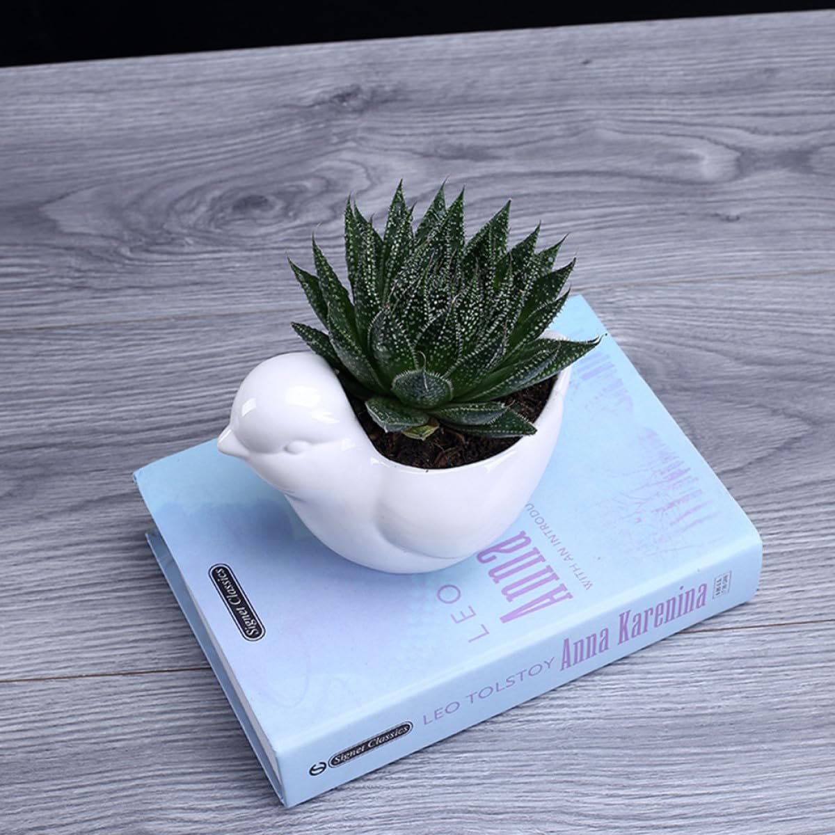 Beaupretty White Ceramic Bird Shaped Succulent Plant Pot with Tray Small Indoor Flower Container Desktop Decor for Home Office Gardening