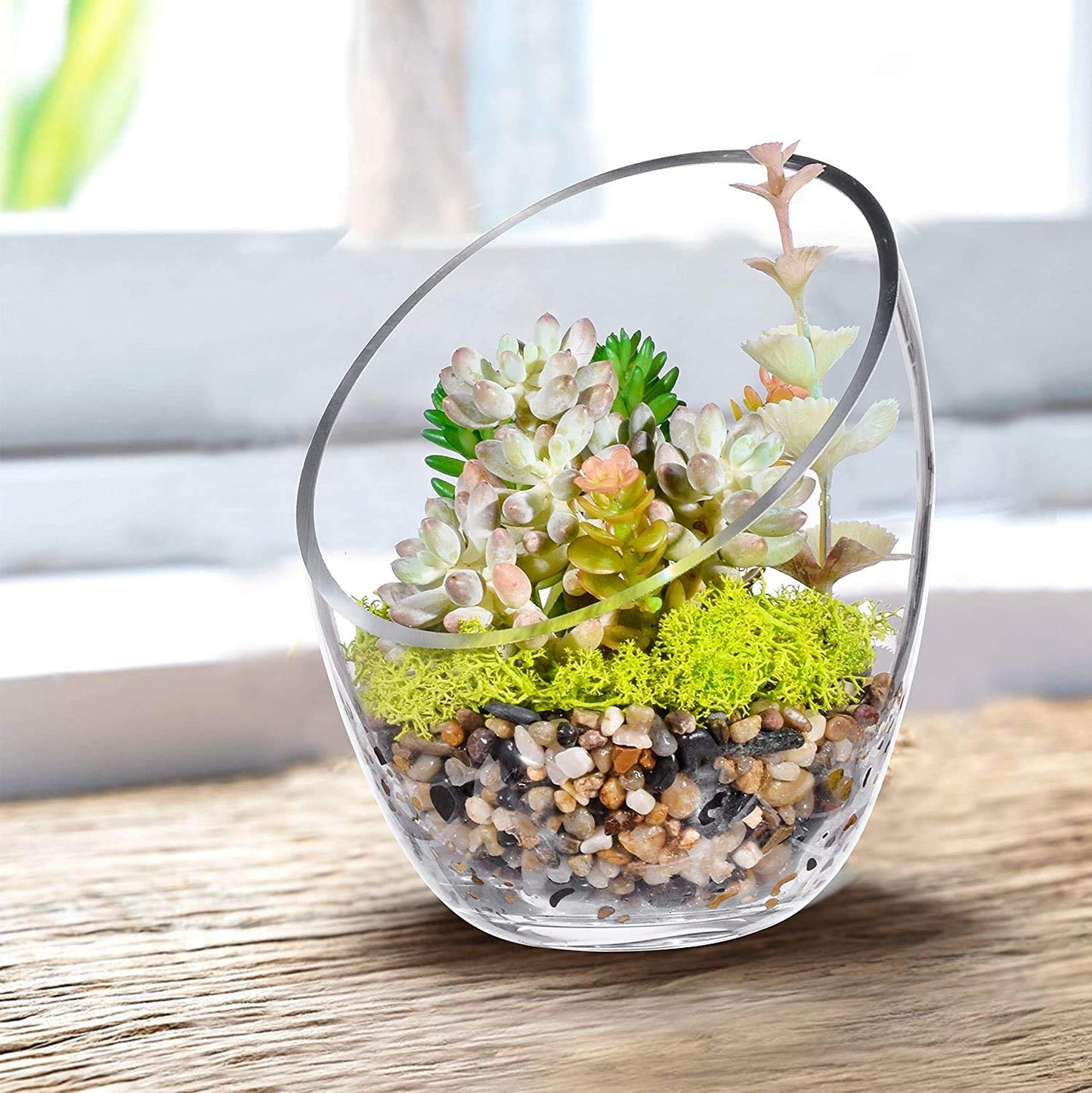 KNIKGLASS Clear Slant Cut Bubble Bowl, Fish Bowl & Plant Terrarium, Candy Jar Slant Cut Globe Vase Center Piece, Round Flower Vase, (6.9“ Tall .5.5“ Wide) …