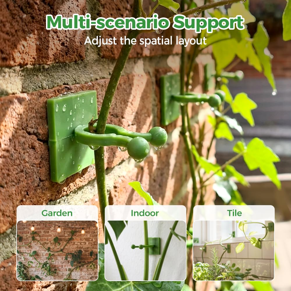 Plant Climbing Wall Fixture Clips, Plant Fixer Invisible Wall Vines Fixing Clips, Self Adhesive Vine Traction, Green Plant Fixer with Self-Adhesive Hook for Indoor Outdoor (200 Pcs)
