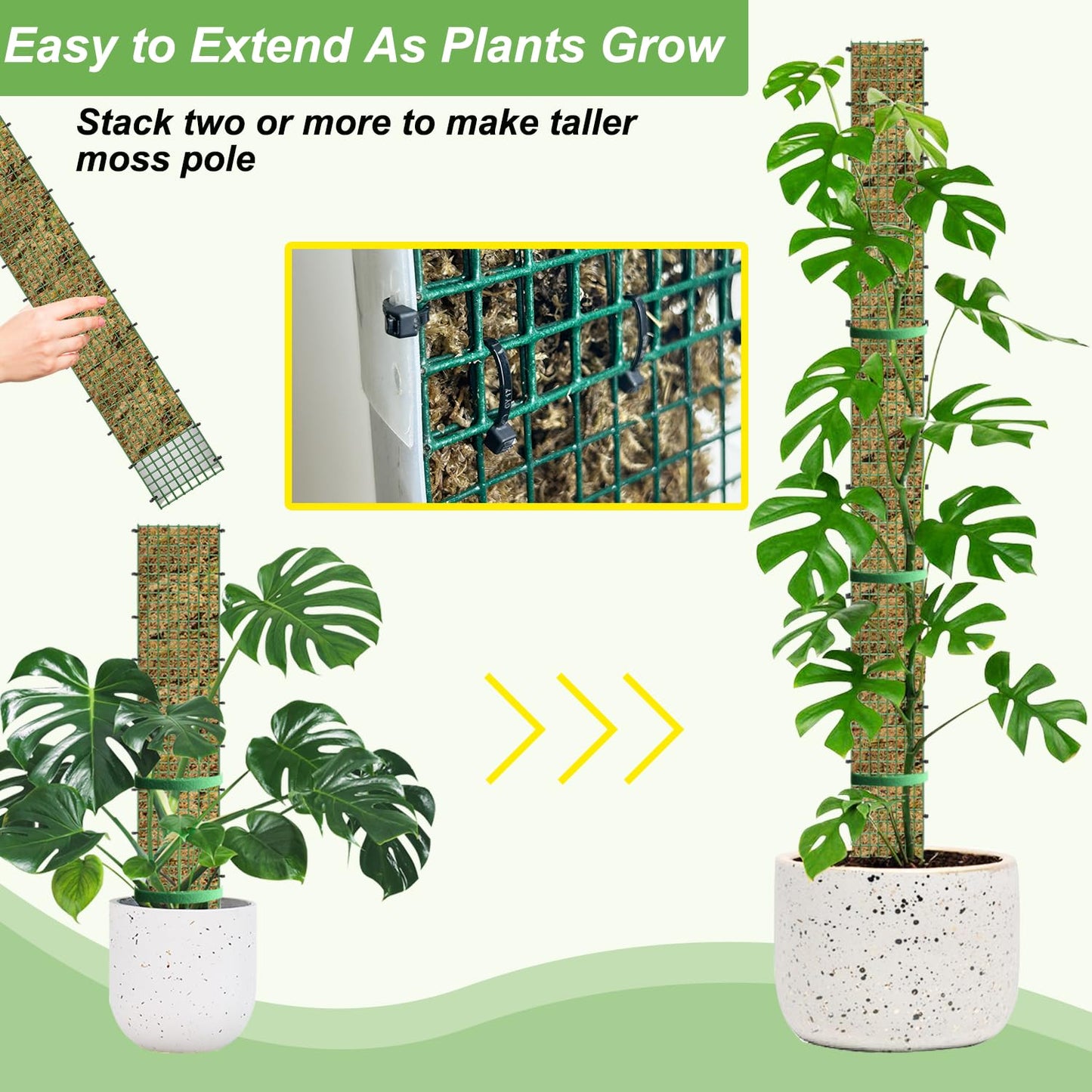 HOLANHING 60" Metal Moss Pole, D Shape Sphagnum Moss Pole, Moss Poles for Climbing Plants, Monstera, Indoor Climbing Plants (4Pcs 60")