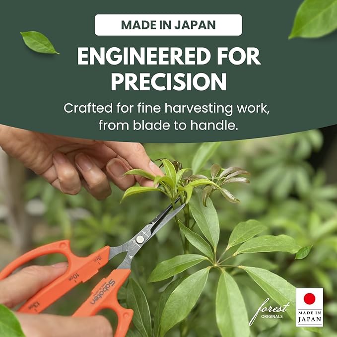 Saboten 6.3" Japanese Harvesting Shears, Magnetic Springless Assist, Fine-Tip Angled Blade, Fluorine-Coated Stainless Steel, Ergonomic Non-Slip Grip, Safety Lock, Made in Japan