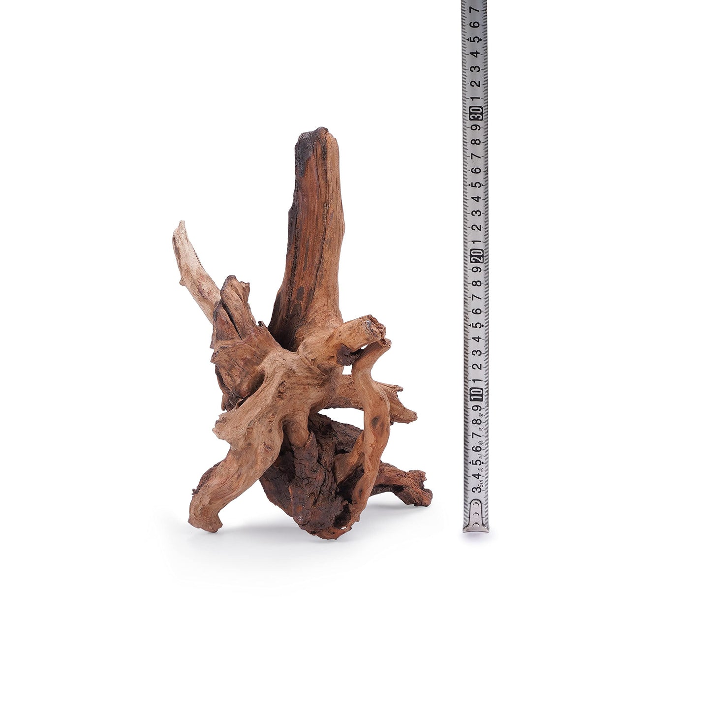 LANDEN Panna Natural Driftwood for Aquarium Decor Freshwater Fish Tank(12-16 inches, 30-40cm) 4pcs Terrariums Vivariums Reptile and Amphibian Enclosures Lizard Bearded Dragon Tortoise Various Shapes