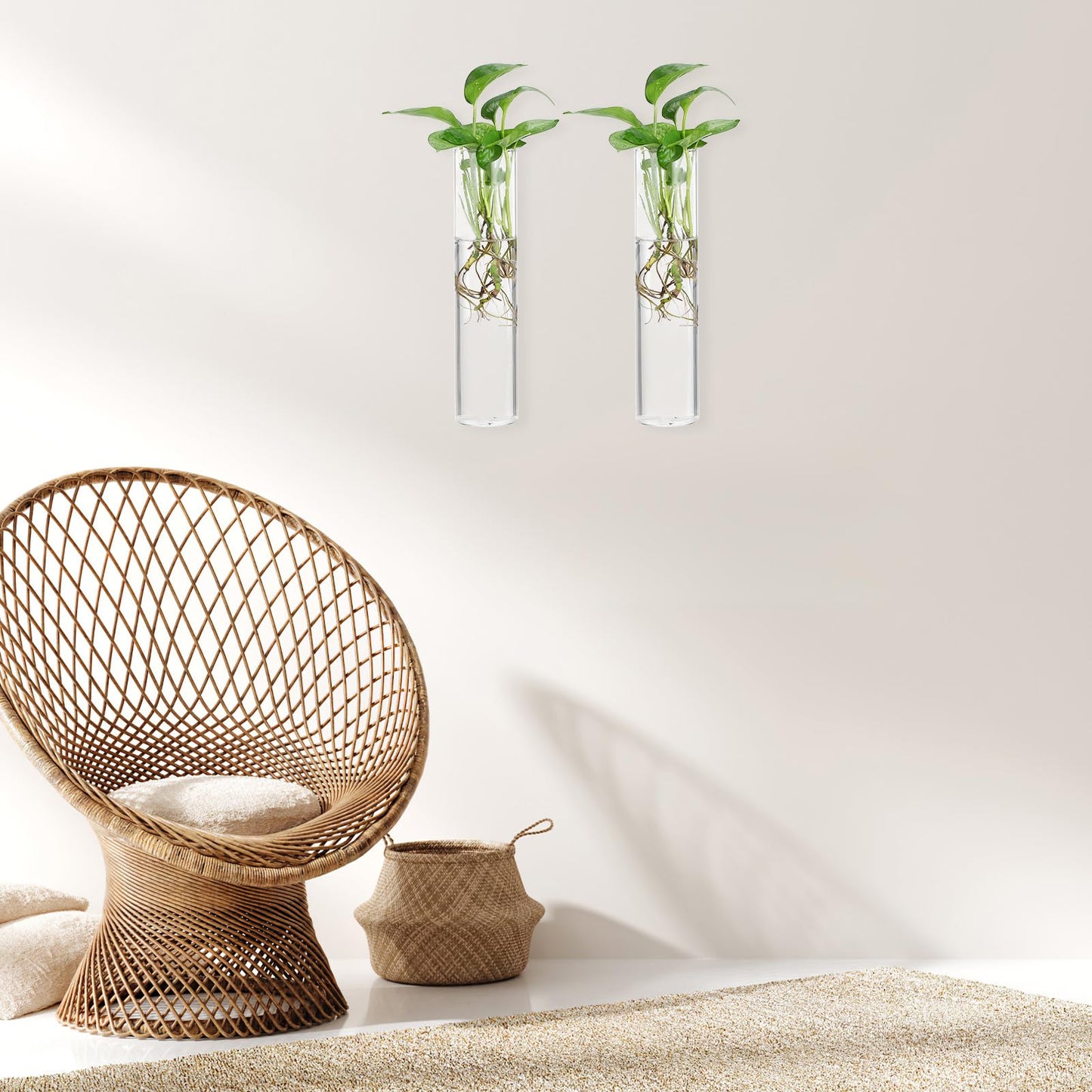 BETOOKY Wall Hanging Glass Vases for Indoor Plants 2pcs, Large Round Tube Hydroponic Propagation Station Terrariums, Wall Holders for Home Décor and Flower Display