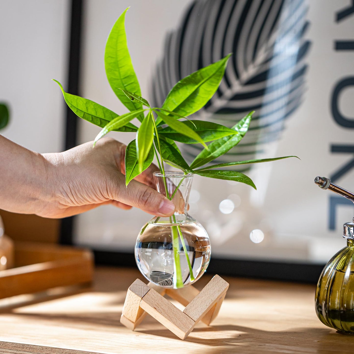 wangsdjy Propagation Stations, Propagation vases with Wooden Stand, Small Tabletop Glass Bulb Vases for Hydroponics Plant Propagation Station Home Office Decoration, Gift for Women Plant Lovers (2)