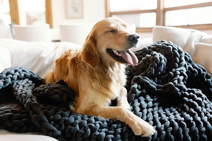 Nuzzie Chunky Knit Weighted Blanket - Breathable, Cooling, Hand Made Knit Throw Blanket for Sleep - Machine Washable, Stylish Decor Design (Dusty Blue, Queen | 28lbs | 80"x80")