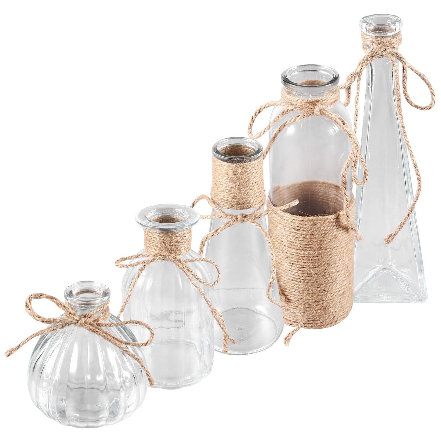 BESPORTBLE 5pcs Glass Flower Vase Set with Jute Rope, Plant Arrangement Container, Decorative Plant Terrarium, Shapes for Home Décor and Floral Display