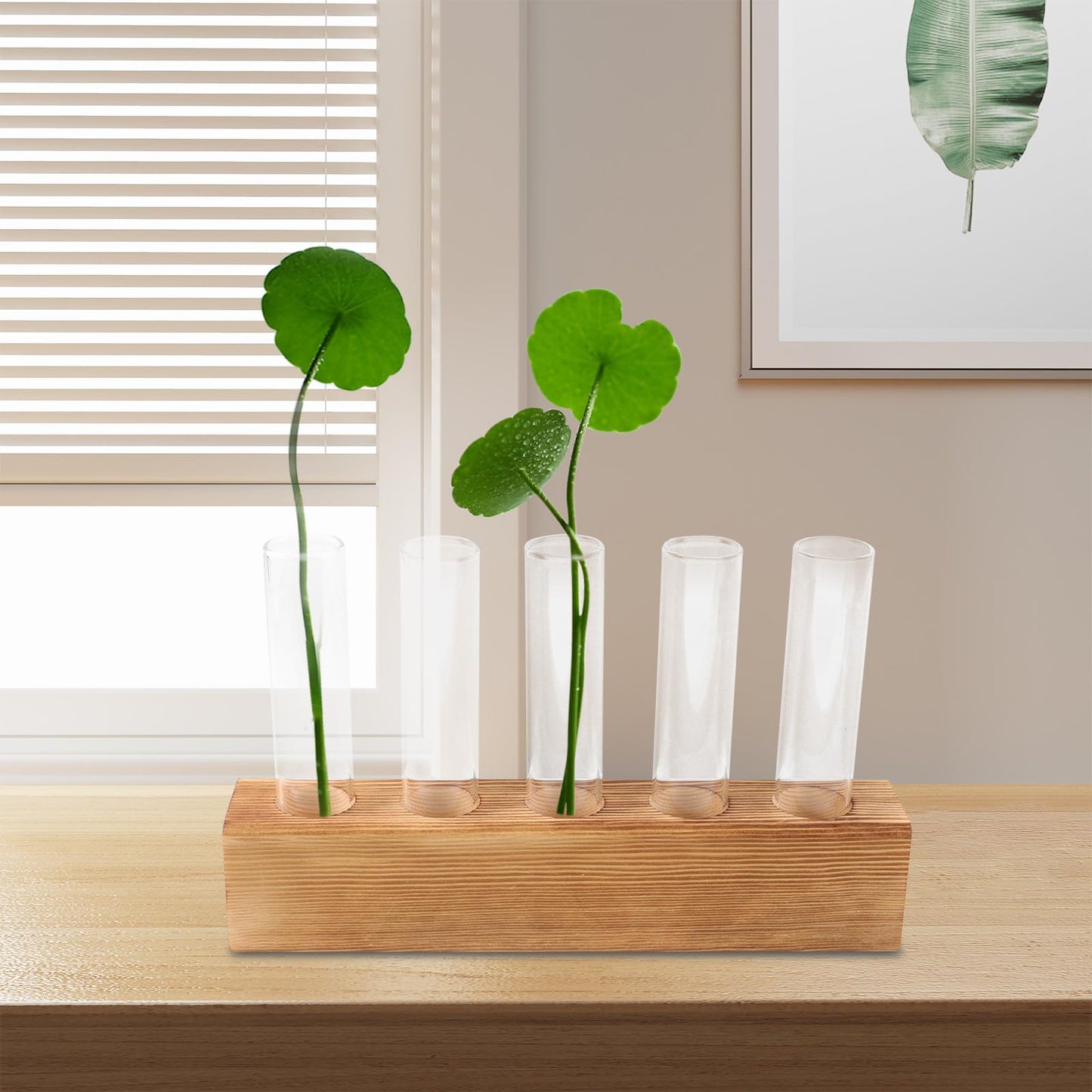 Garneck Glass Planter Hydroponic Vase with 5-Hole Wooden Stand, Indoor Terrarium Plant Propagation Station for Home Office Décor, Tabletop Glass Vase for Air Plants and Live Houseplants