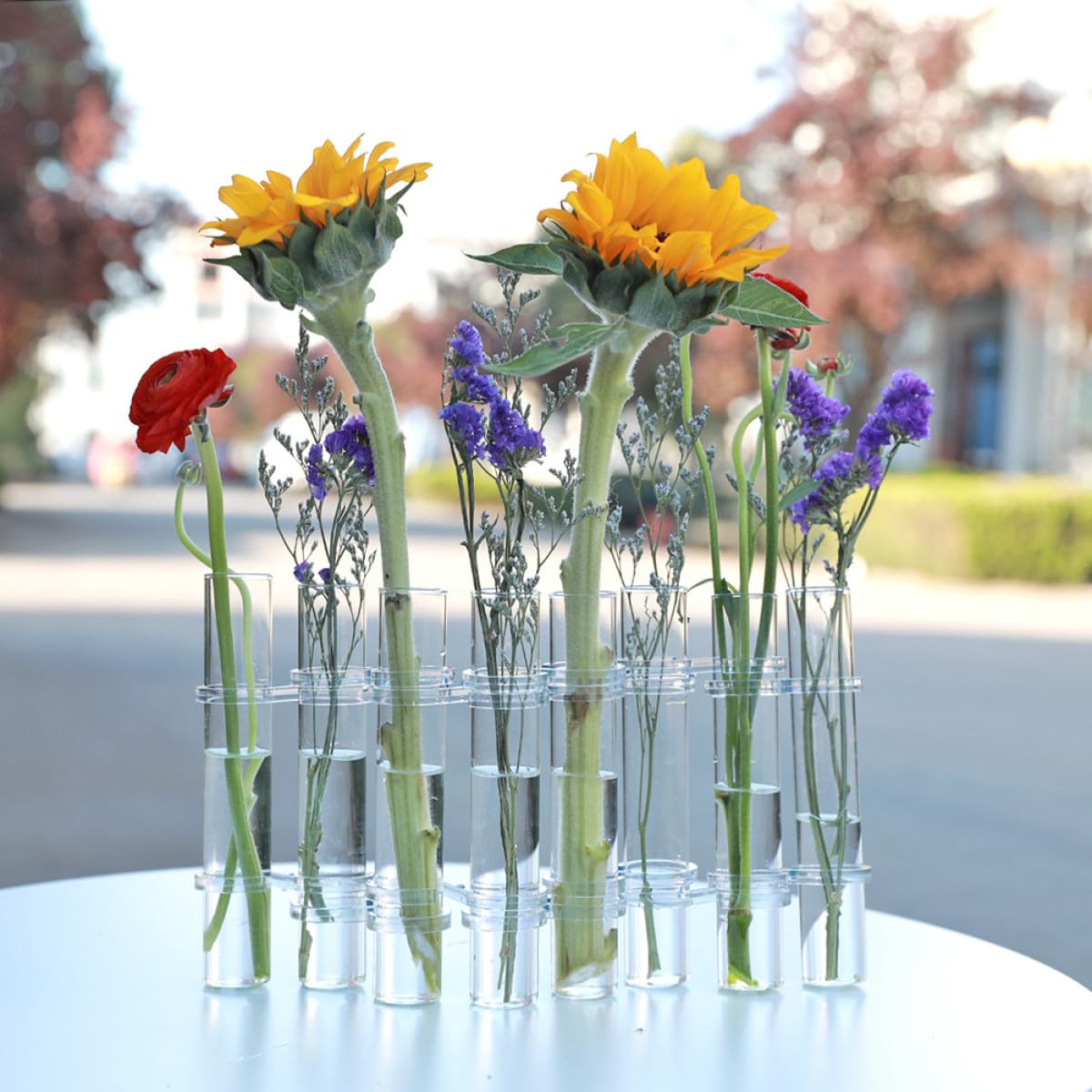 ibasenice Glass Test Tube Vases Set of 8 Large Hydroponic Propagation Tubes with Cleaning Brush for Indoor Plant Holder and Succulent Terrarium Home Décor