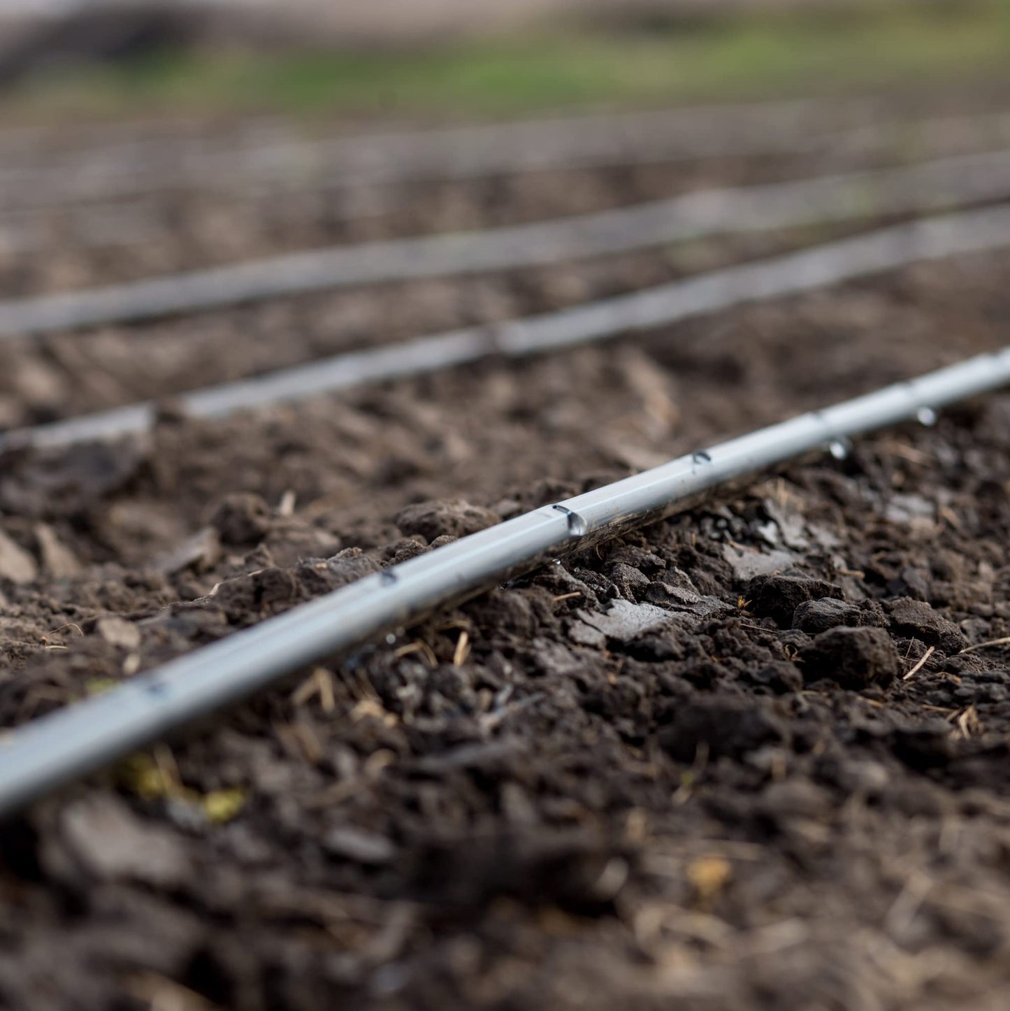 100' Feet USA MADE - Irrigation Drip Line Emitter Tubing, 6" Spacing, 1/4" .52 GPH, color black (.170 ID x 240 OD)