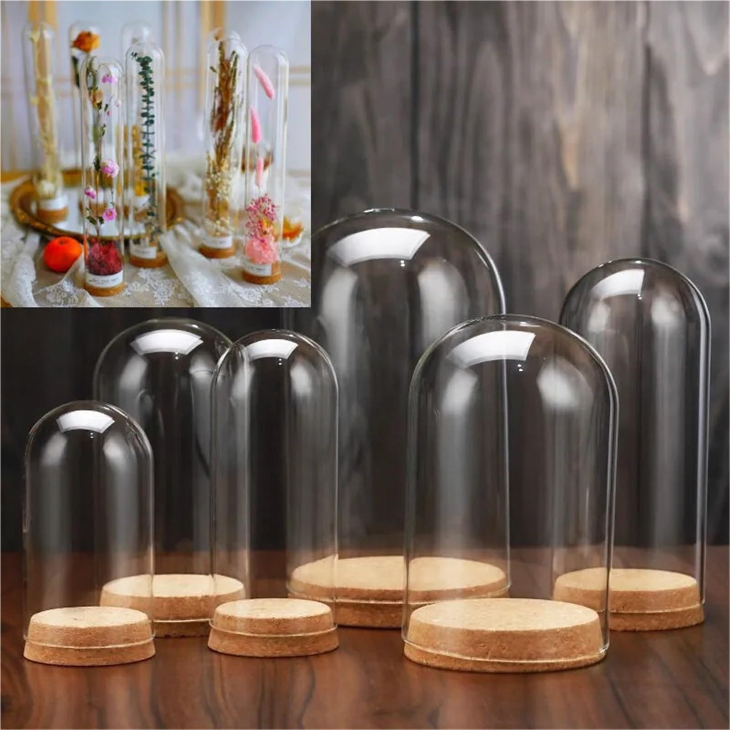 10X Da30mm Glass Bottle Terrarium Jar Cork Base Dome Dust Cover DIY Specimen Succulent Plant Micro Landscape Flower Vase Display(30x90cm)