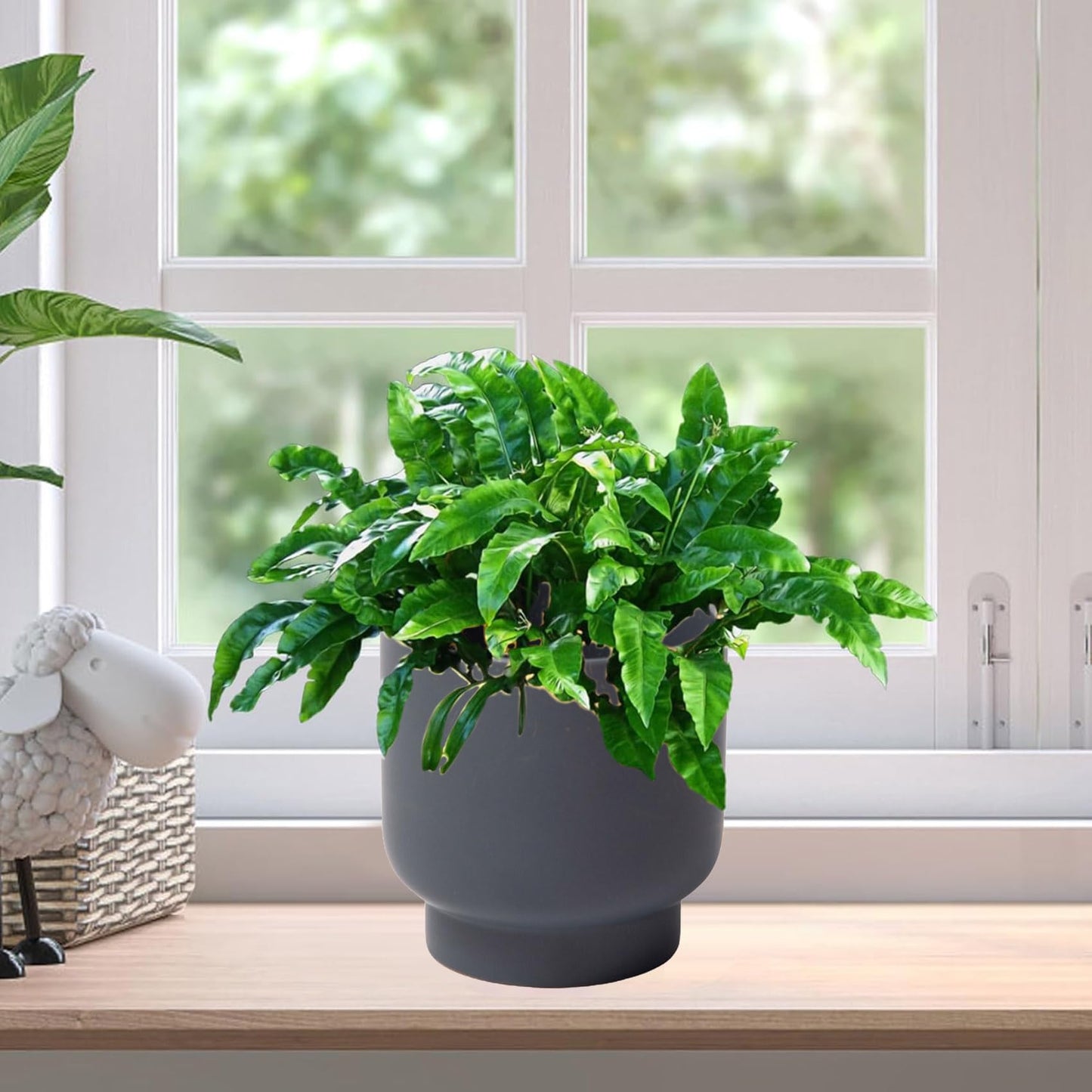 LB Grey Ceramic Planters for Indoor Plants, Succulent Plant Pots Ceramic Flower Pots, Modern Plant Pot for Living Room Office Home Decor, Round Flower Pot of 4.3 Inch(Plant Not Included)