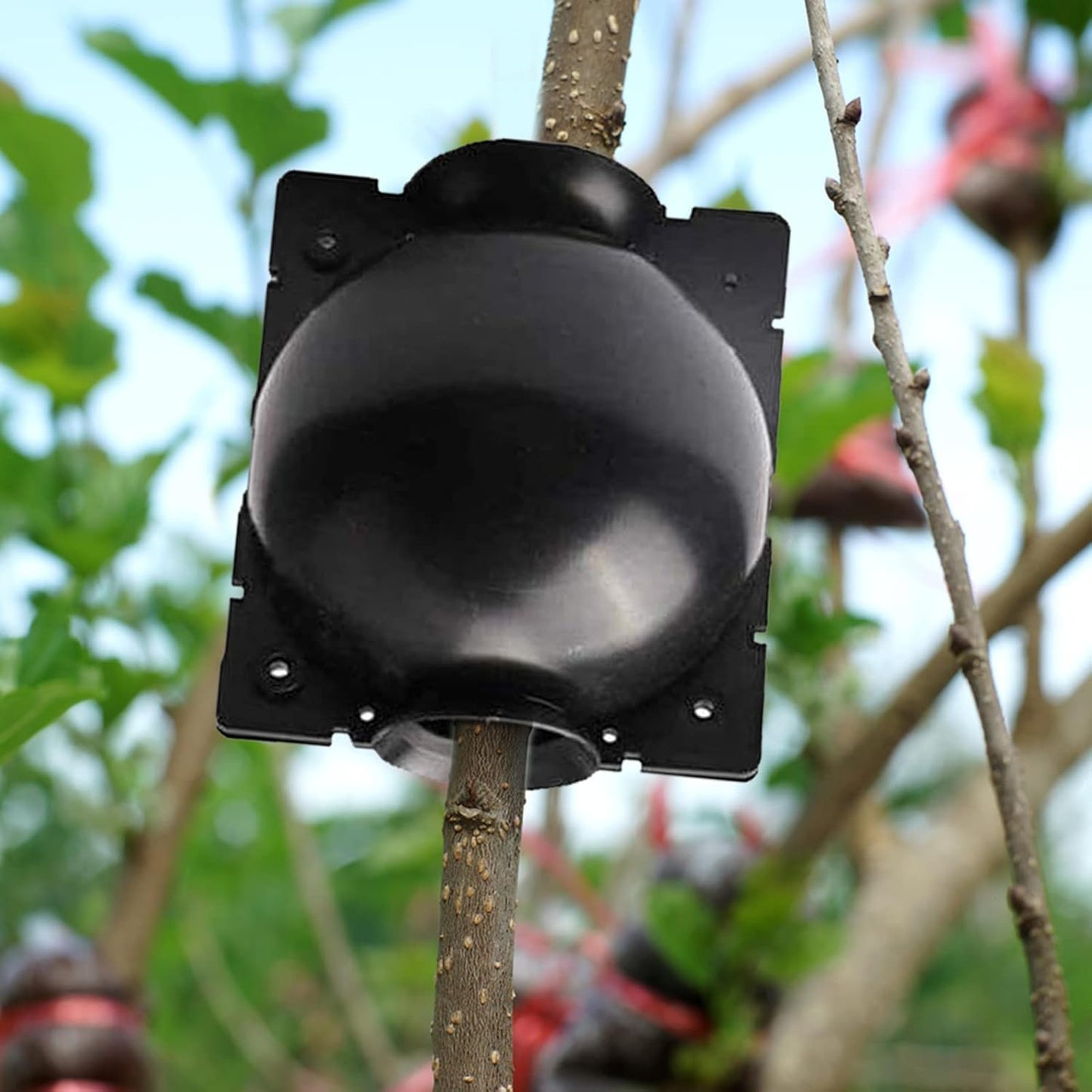 10 PCS Plant Propagation Stations Air Layering Pods, Reusable Rapid Root Plugs Air Layering Propagation Kit Grafting Kit Plant Propagation Ball Root Starter for Plants Cuttings Take Root