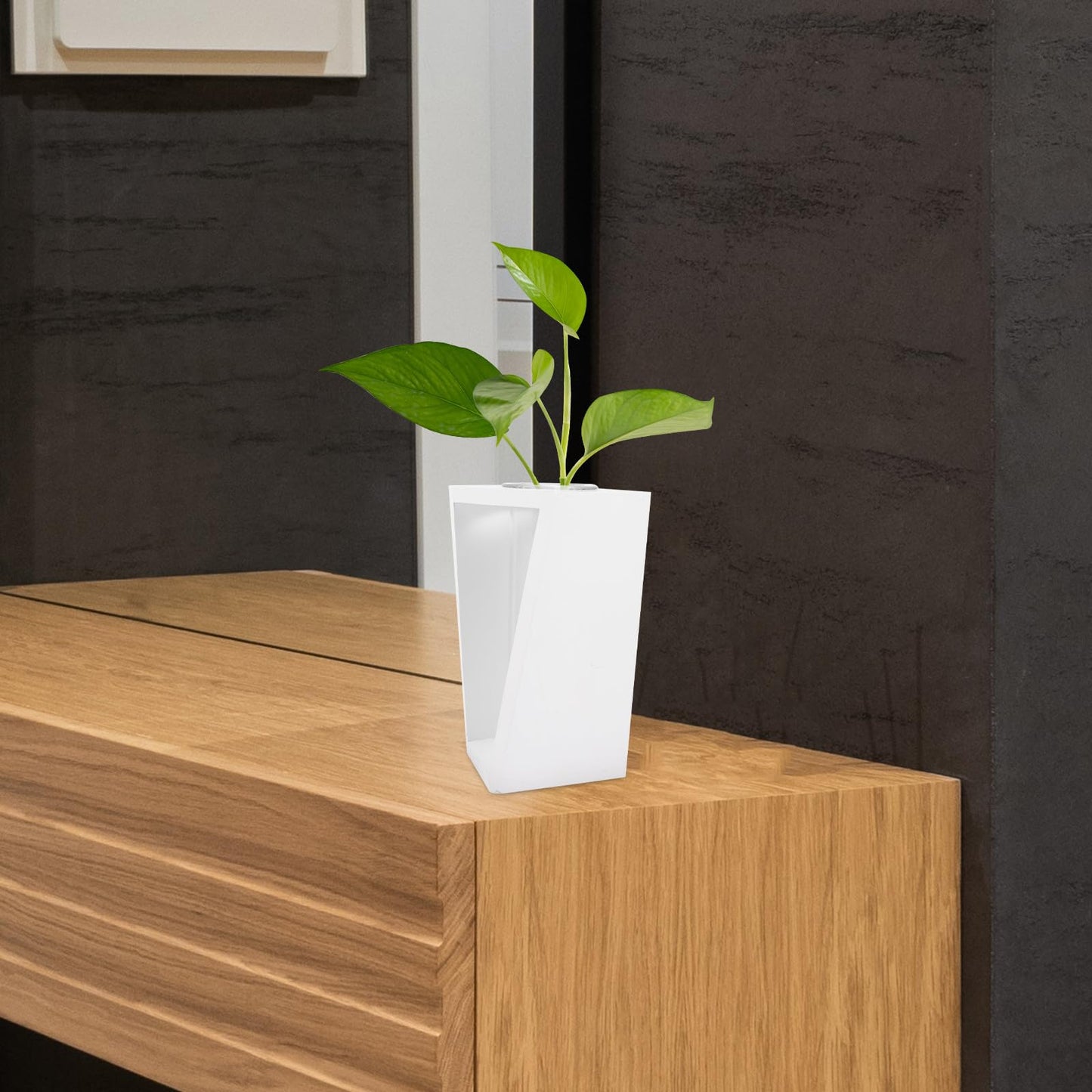 PRETYZOOM Wooden Frame Test Tube Plant Vase for Indoor Hydroponic Propagation, Glass Flower Vase with White Stand, Tube Planter Terrarium for Home and Office Décor
