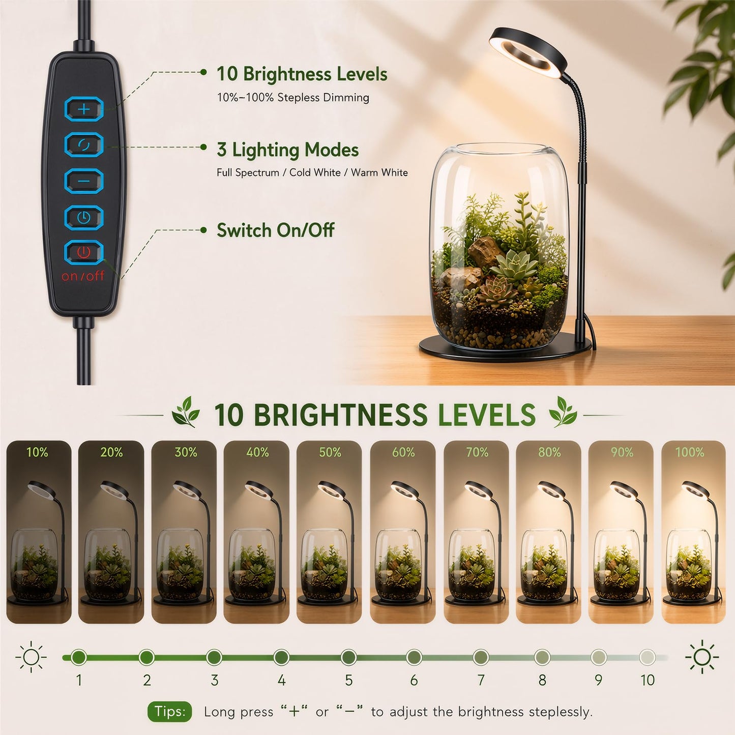 Yeeweek 5X Aperture Grow Light for Indoor Plants, Mini Desk Grow Light with Glass Terrarium for Small Plants, Succulents & Moss, Height Adjustable Plant Growing Lamp for Home Office Gift
