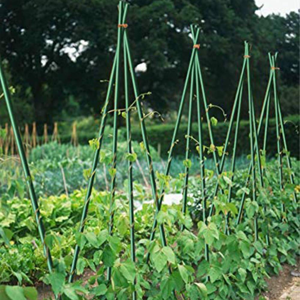 Growsun 6ft Tomato Stakes Plant Stake Supports Garden Fences Trellis Metal Plastic Coated Plant Cage Supports Climbing, Pack of 50