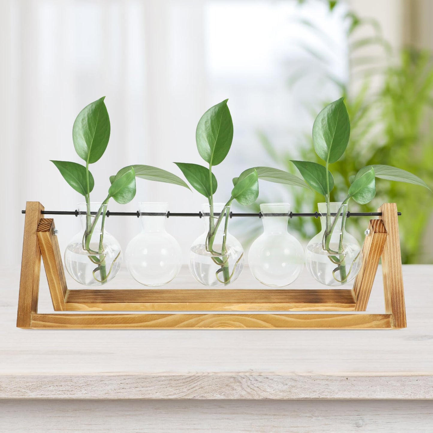 Zerodeko Small Glass Vase Set with Wooden Stand, Hydroponic Propagation Bottles for Desktop Plant Terrarium, Home Décor Flower Vase Kit for Indoor Gardening and Green Plant Display