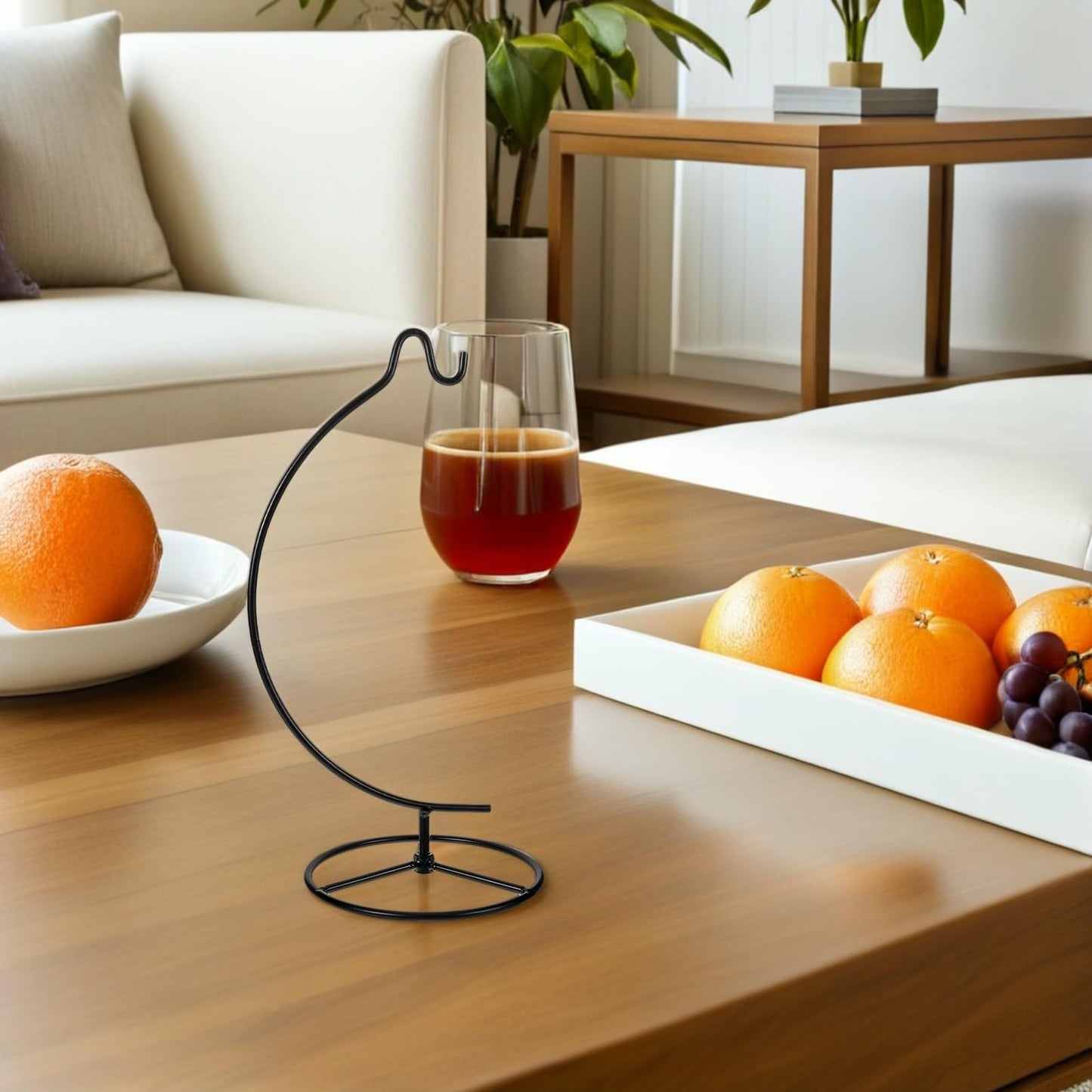 Wakauto 2Pcs Hanging Flowerpot Stand and Air Plant Holder Iron Display Rack with Hooks for Indoor Micro Landscape Bottle Hanger Home Décor and Wedding Ornament Black