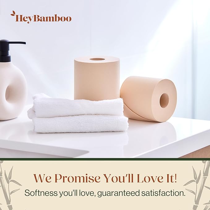 12 - HeyBamboo 100% Bamboo 3-Ply Toilet Paper, Ubleached, Non Toxic, 12 Double Rolls, 360 Sheets, FSC Certified, Soft & Strong, Pack of 12, Plastic-Free