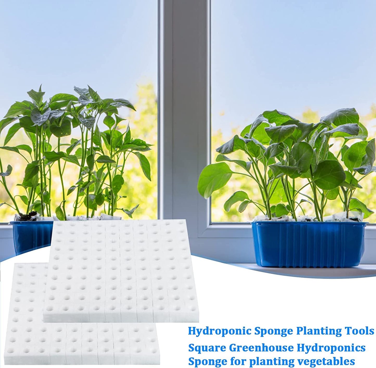XIDAJIE 600 Pcs Hydroponic Sponges Planting Gardening Tool Soilless Cultivation Seedling Sponges Cultivation Sponge Greenhouse for Small Bud Growth & Grow Seedlings