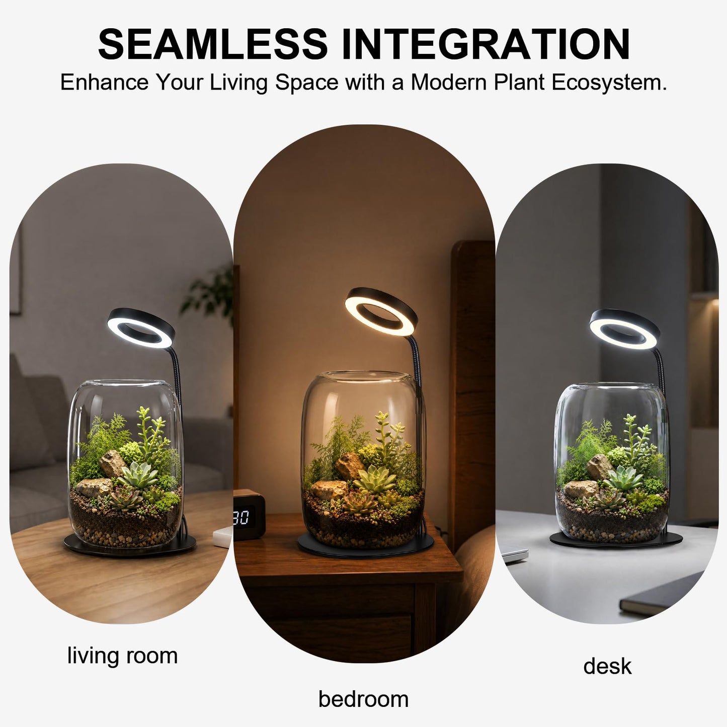 Yeeweek 5X Aperture Grow Light for Indoor Plants, Mini Desk Grow Light with Glass Terrarium for Small Plants, Succulents & Moss, Height Adjustable Plant Growing Lamp for Home Office Gift