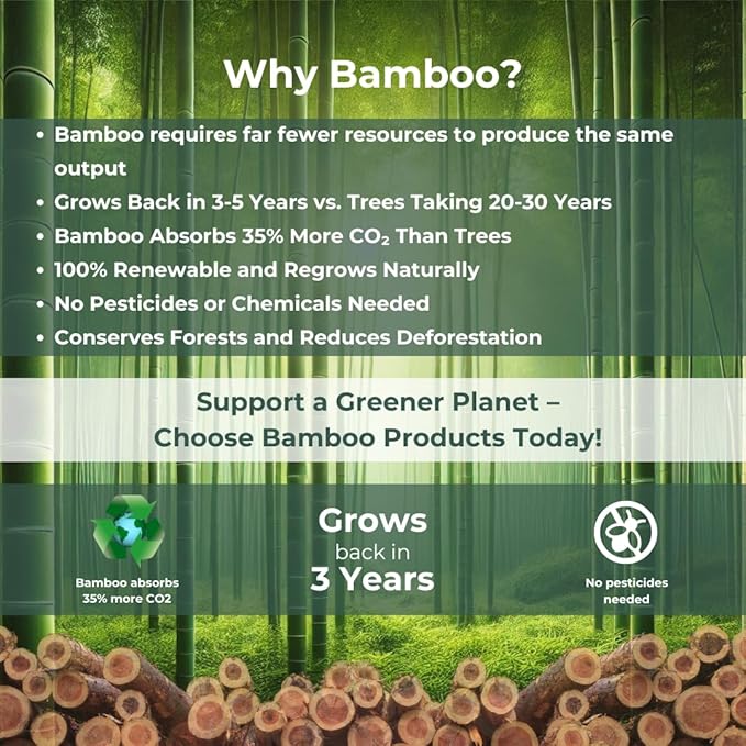 100% Bamboo Toilet Paper - 3 Ply 24 Mega Rolls (Equivalent to 40 Regular Rolls) | Highly Absorbent, Hypoallergenic, FSC-Certified | Eco-friendly,Sustainable, 360 Sheets per Roll, Eco-Conscious Choice