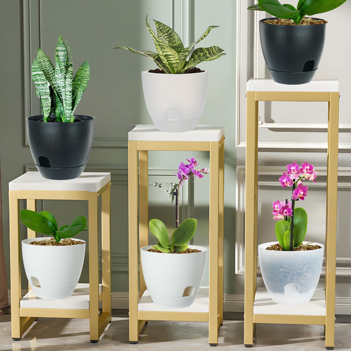 IWNTWY Self Watering Pots Set, 5 Pack 6 Inch Self Watering Pots for Indoor Outdoor Plants, Plastic Planter with Drainage Holes and Deep Reservoir for African Violet, Spider, Orchid
