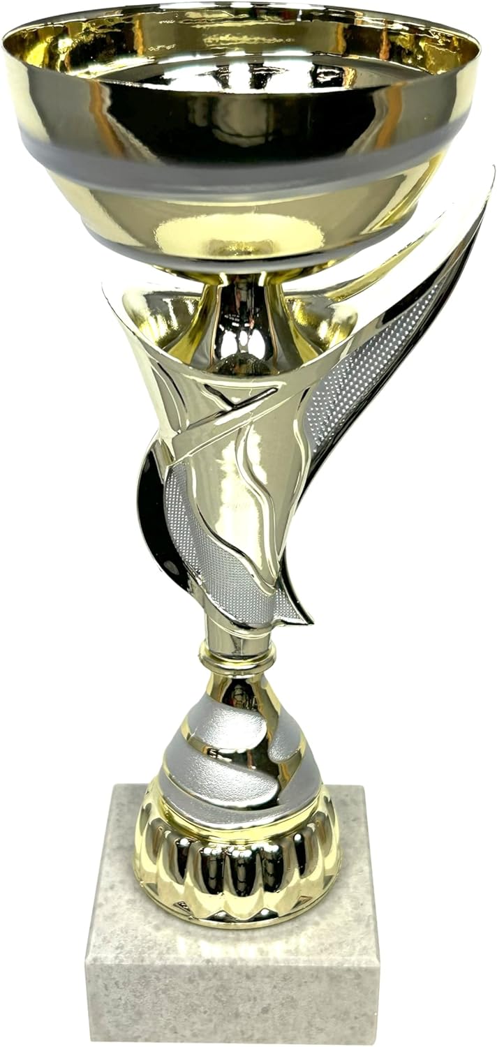 Express Medals Various Styles of Award Trophy Cups Trophies Prize Gift Champion Winner 1st Place