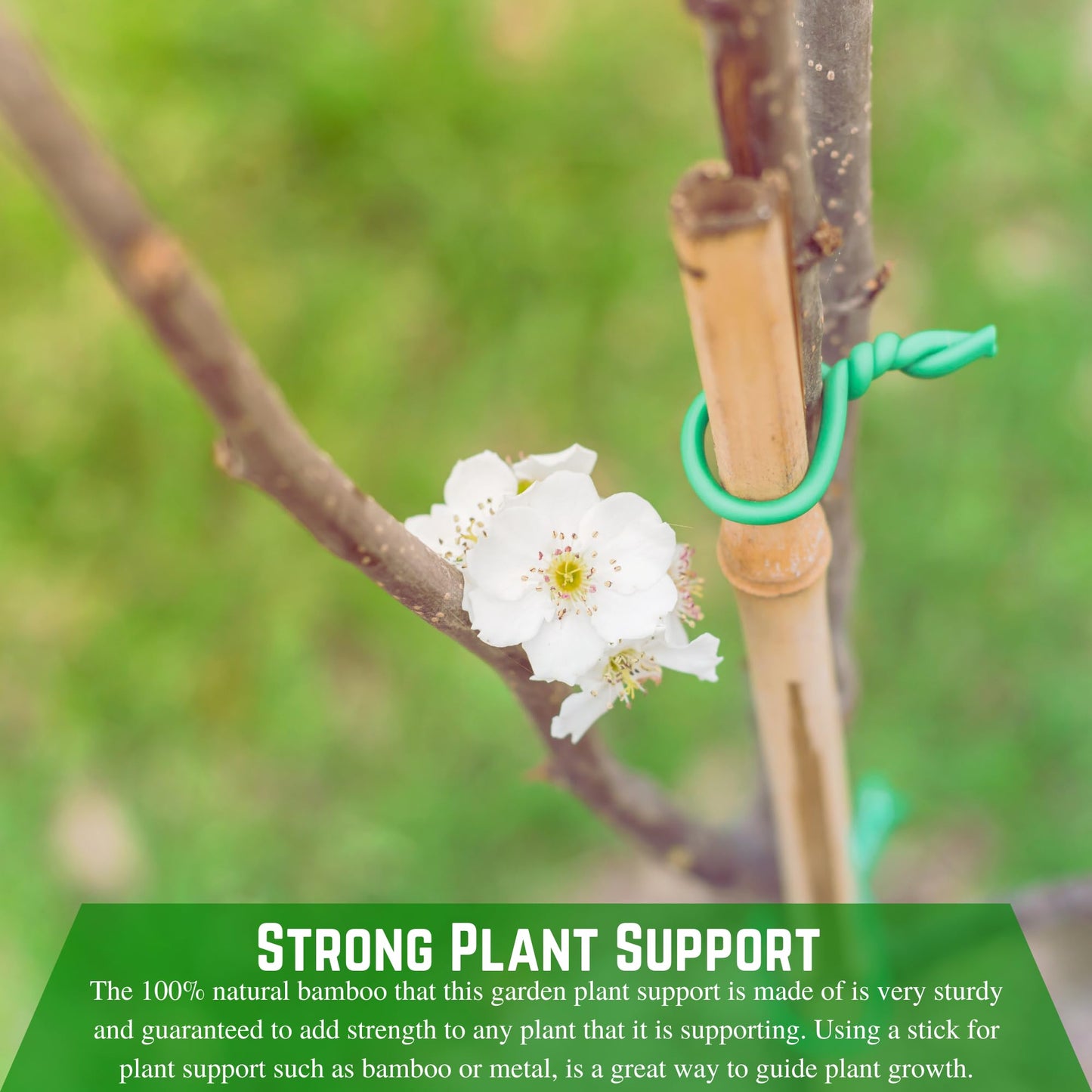 Farm Plastic Supply - Bamboo Garden Stakes - Bambo Sticks, Bamboo Plant Stakes for Outdoor Plants, Plant Support Stakes for Indoor Plants (7 Foot, 20)
