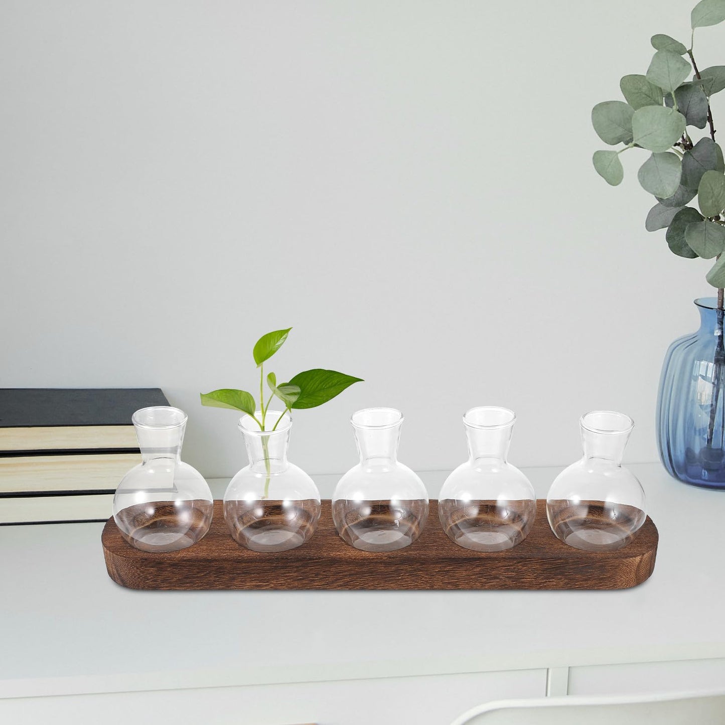 Toyvian Glass Plant Vase Set with Wooden Base, Hydroponic Terrarium for Indoor Greenery, Desktop Decorative Flower Vases for Office and Living Room (3 Bottles + 5 Bottles)