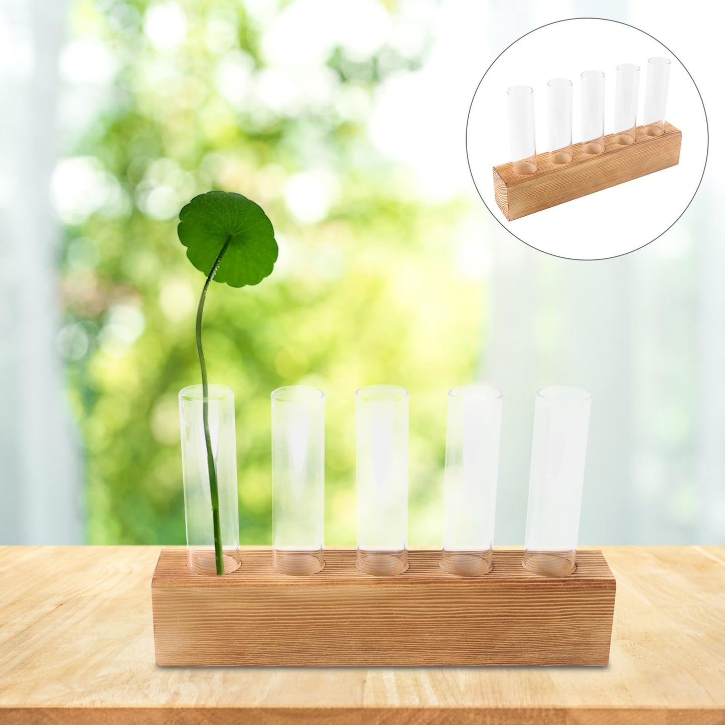 GRIRIW Glass Hydroponic Planter with 5-Hole Wooden Stand, Indoor Plant Terrarium Vase for Water Propagation, Test Tube Bud Vase for Home and Office Décor