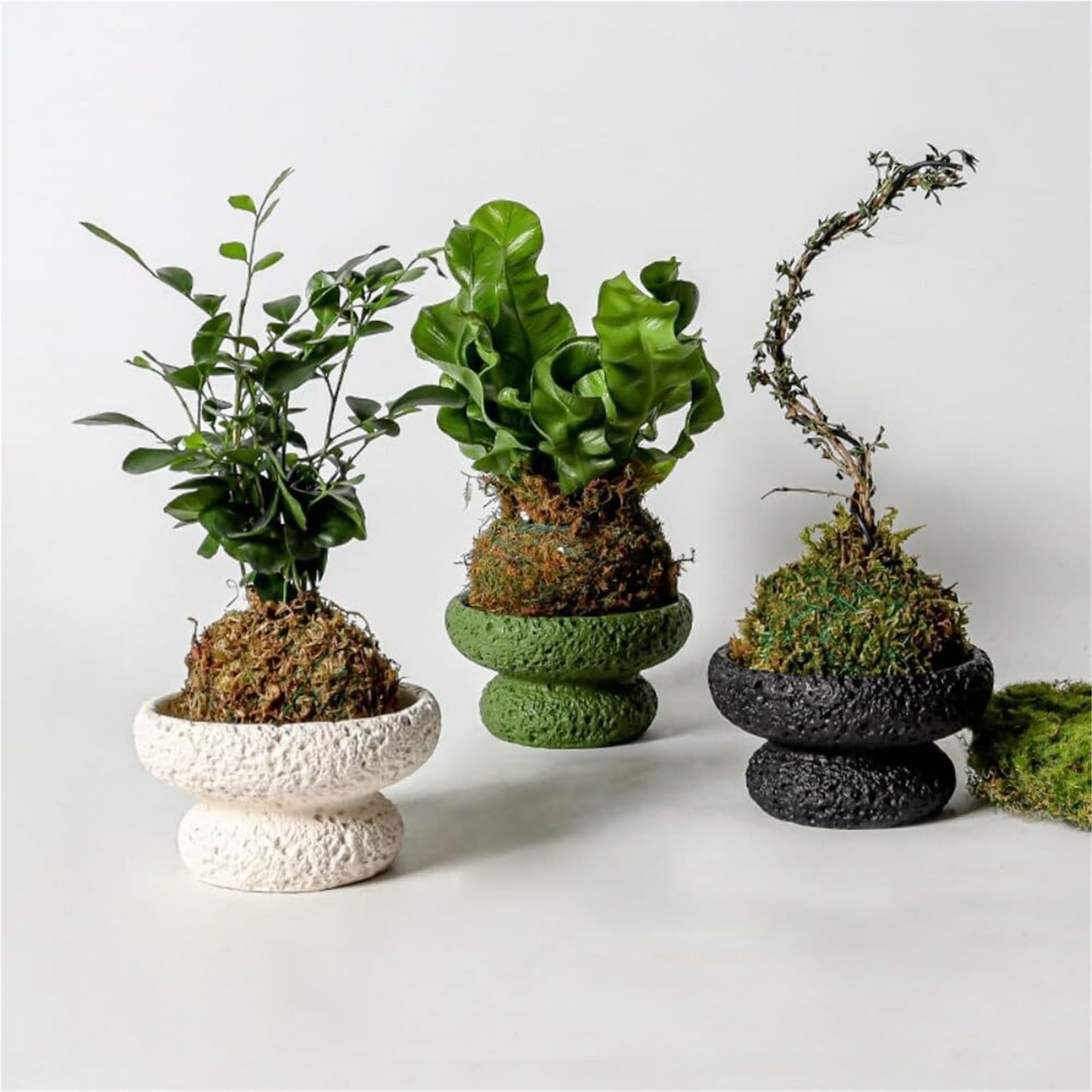 FXLTHIYBO Sleek Cement Creative Meteorite Pattern Flower Pot Planter Plants Flowers Bonsai Decoration for Indoor use(Purple,Large)