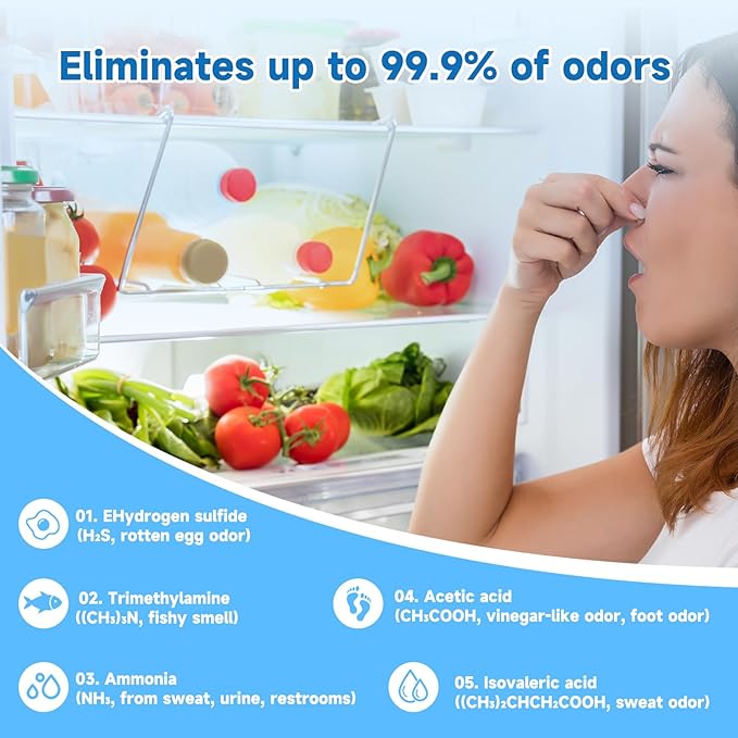 Refrigerator Deodorizer 3 Pack, Natural Plant Fridge Deodorizer Long-Lasting Odor Eliminator for Refrigerator, Air Freshener for Kitchen, Shoe Cabinet, Pet Areas