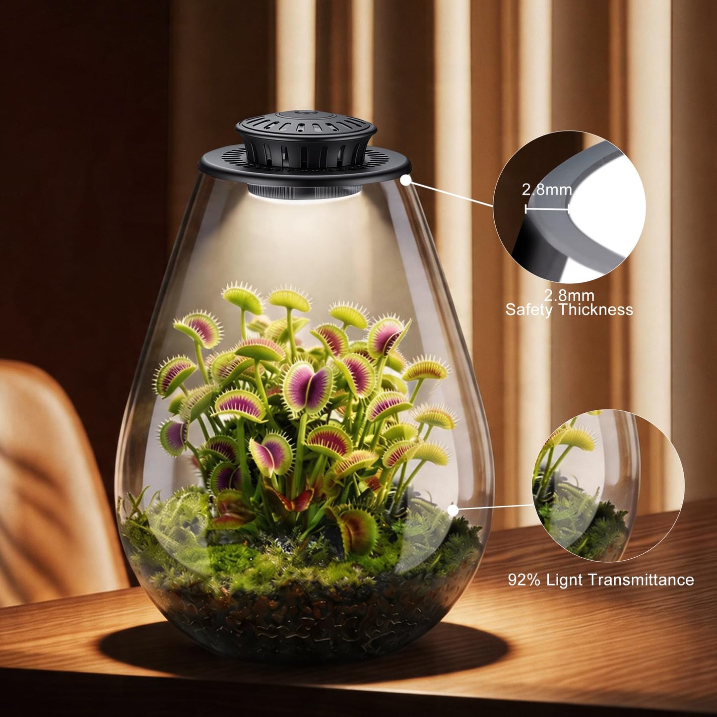 Xyingshine Glass Plant Terrarium with LED Grow Light, 7.8" Borosilicate Terrarium with Adjustable Ventilation & Timer, for Venus Fly Trap, Moss, Succulents, Mini Landscape, Desk Decor for Home Office