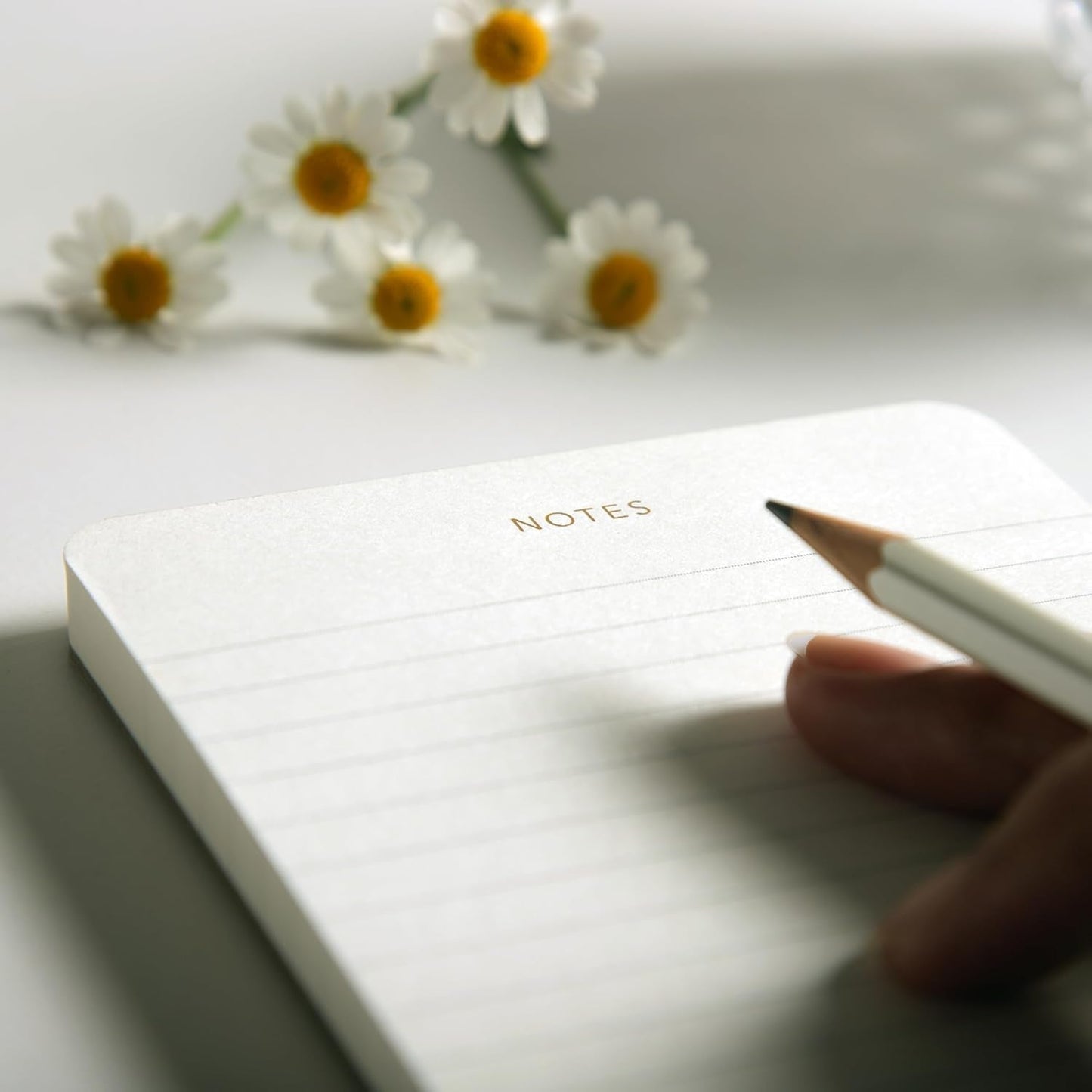 Elegant Desk Notepads for Professionals, Executive's Memo Pads, Minimalist, Gold Foiled, Lined, 5 Pack, 375 Sheets Total (75 Each), 6.3" x 3.9”, 80 GSM, Eco-friendly, FSC™ Certified