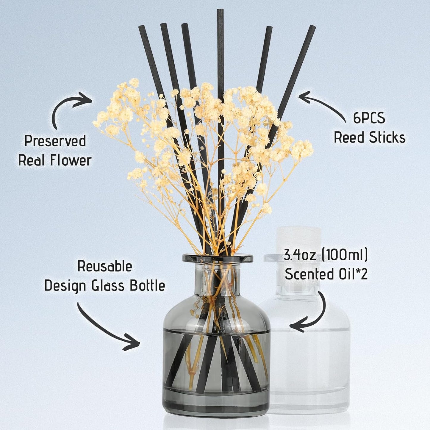Brakula 2 Pack Reed Diffuser, Eucalyptus & Wild Mint+Lavender Vanilla (3.38 fl oz Each Pack), Home Fragrance with 12 Sticks, Shelf Decor, Reed diffusers for Home