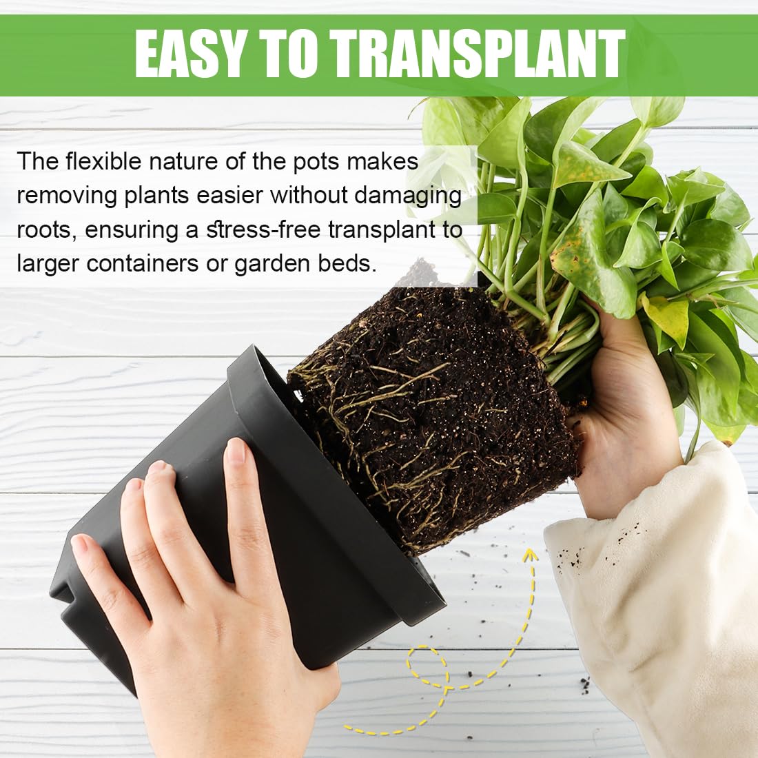 RooTrimmer Square Nursery Pots 5.5 Inch, Plastic Plant Pot with Drainage Holes, 30 Pcs Reusable Seedling Starter Pots Garden Flower Pots Planters for Indoor Plants, Transplanting, Succulents, Cuttings