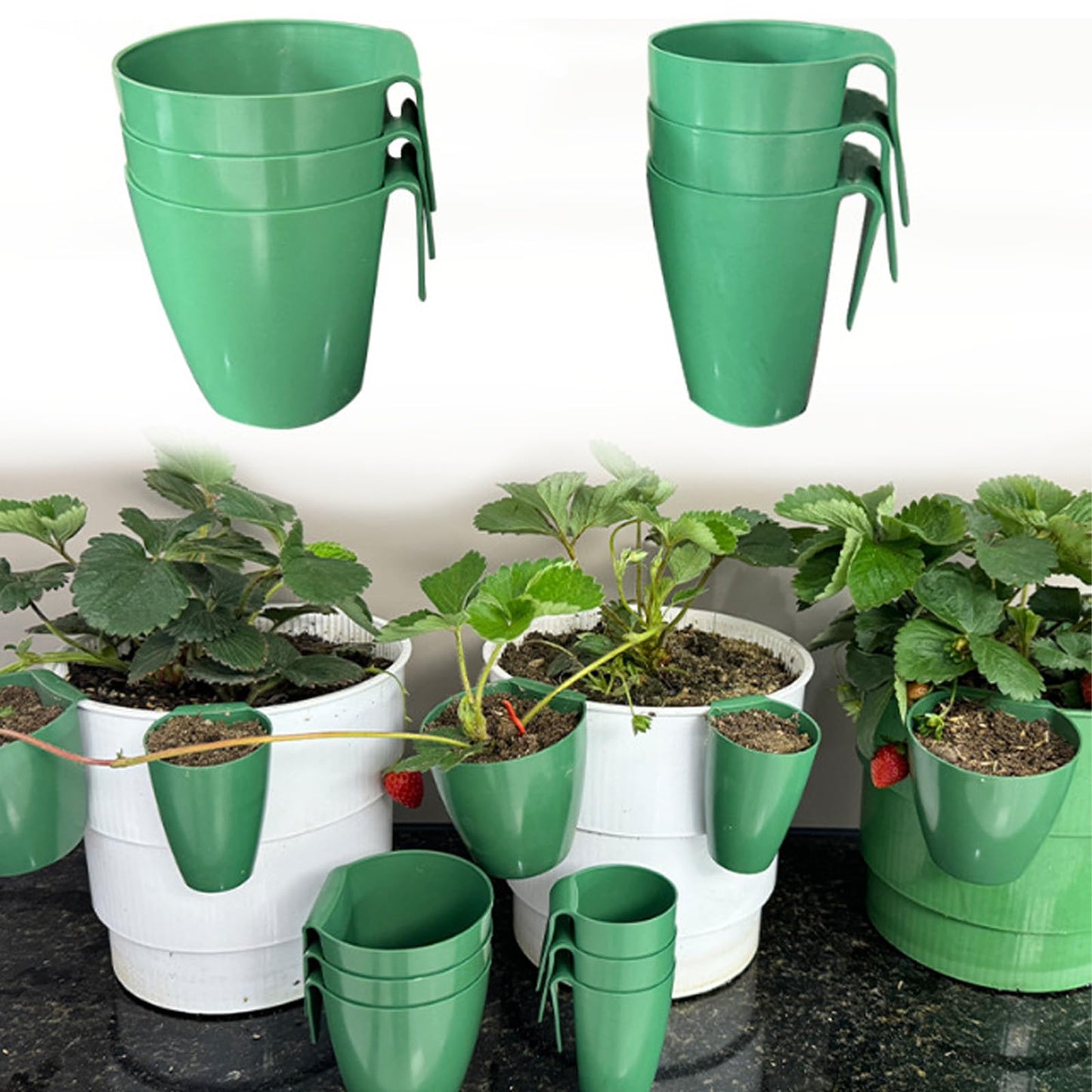 ordinarYone Breathable Strawberry Propagation Cups with Runner Forks for Root Rot and Promoting Growth in High Hu