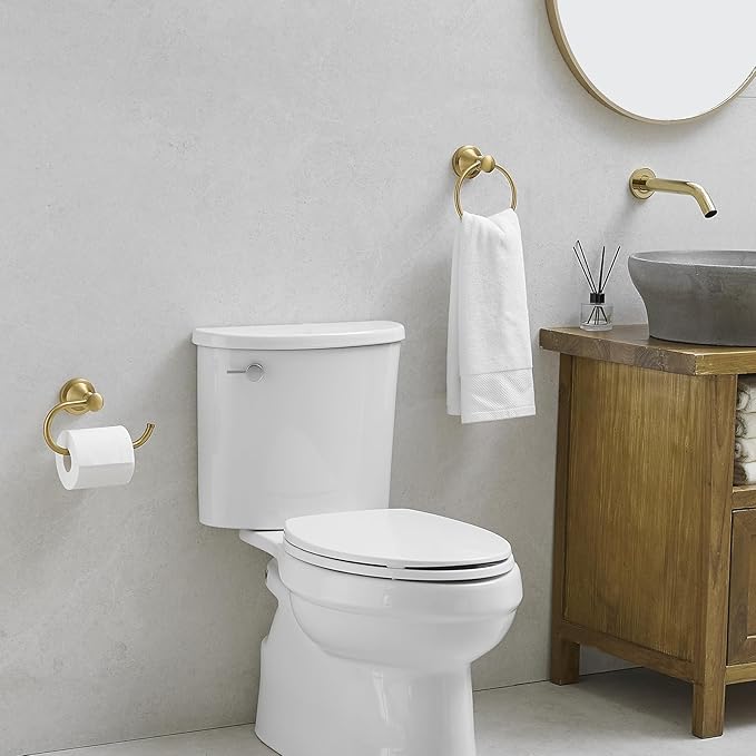 Hoimpro Brushed Gold 2-Piece Bathroom Bath Set, Wall Mounted Bathroom Hardware Fixture (Towel Ring Holder, Toilet Paper Towel Holder), Bathroom Accessories, Stainless Steel and Zinc Alloy