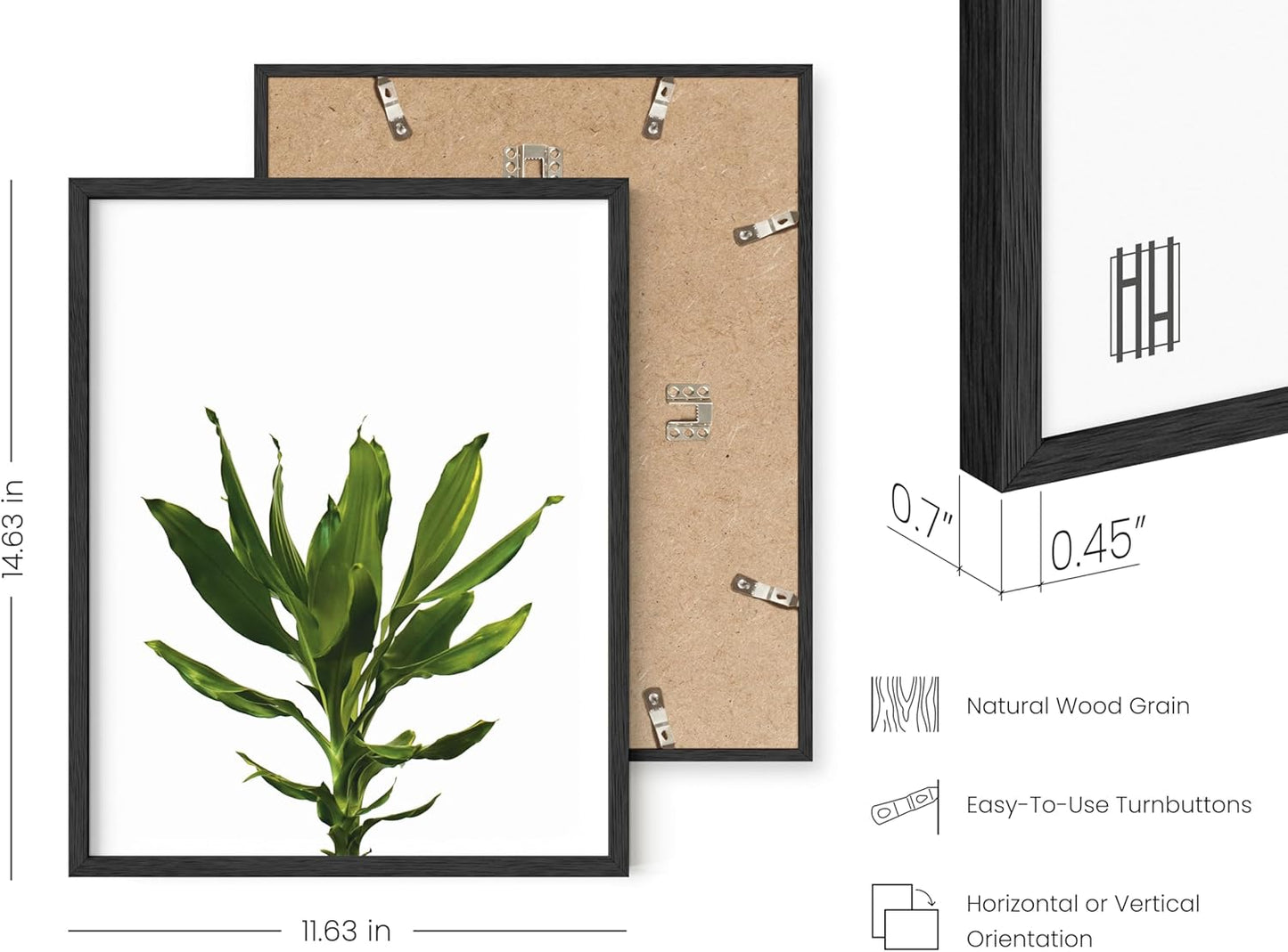 HAUS AND HUES Plant Wall Art - Set of 4 Green Plant Pictures Collection, Botanical Prints, Sage Green Leaves Paintings, Minimalist Wall Decor (11x14, Black Frame)