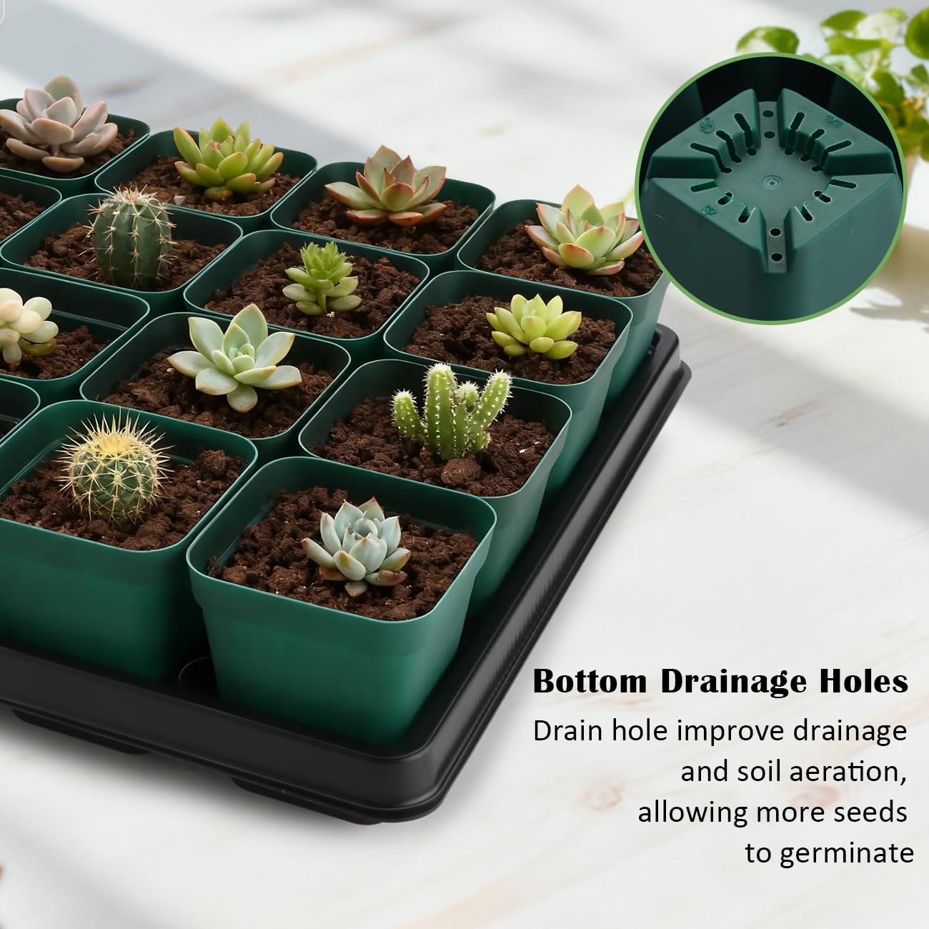 RooTrimmer 2.8 inch (7CM) Square Nursery Pots 120pcs (Green) and 24 Cell Nursery Pots Trays 5 Pack, Plastic Seedling Starter Tray with Drain Holes for Carrying and Holding Plant Pot(17"x11"x1.6")