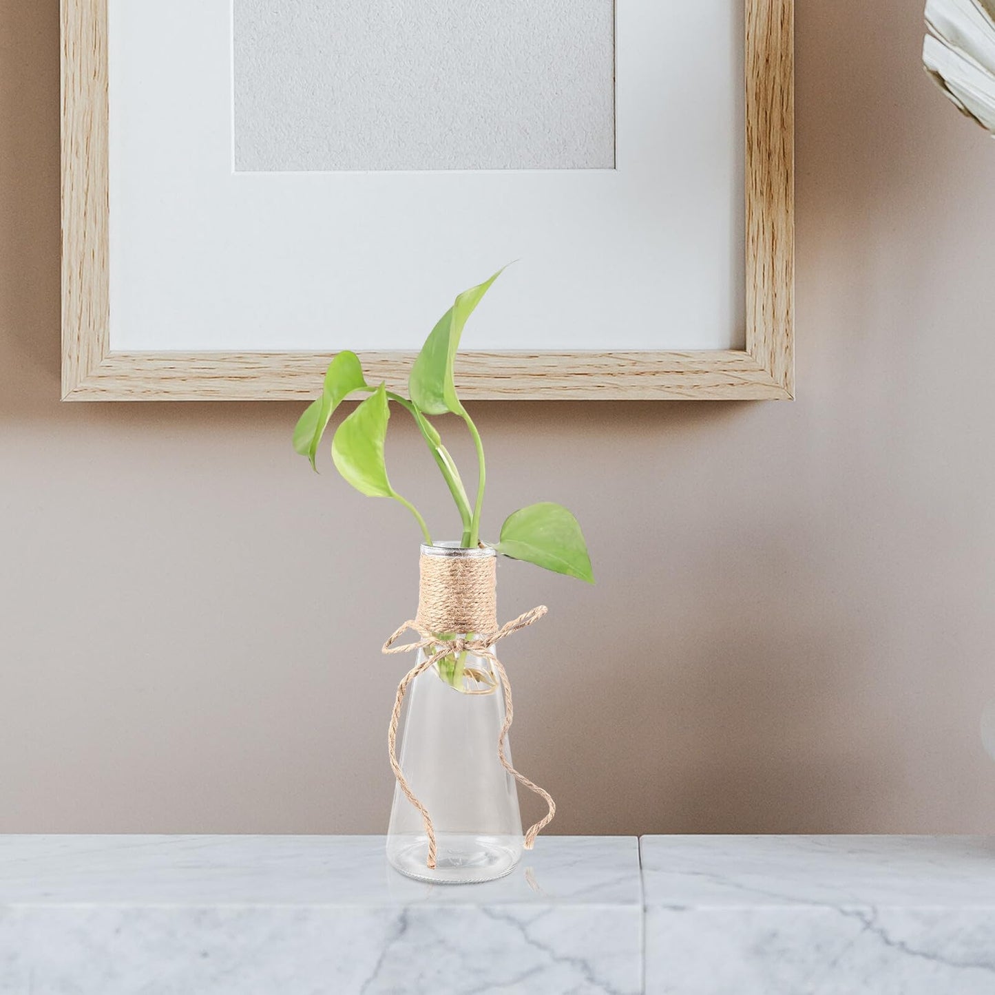BESPORTBLE 5pcs Glass Flower Vase Set with Jute Rope, Plant Arrangement Container, Decorative Plant Terrarium, Shapes for Home Décor and Floral Display