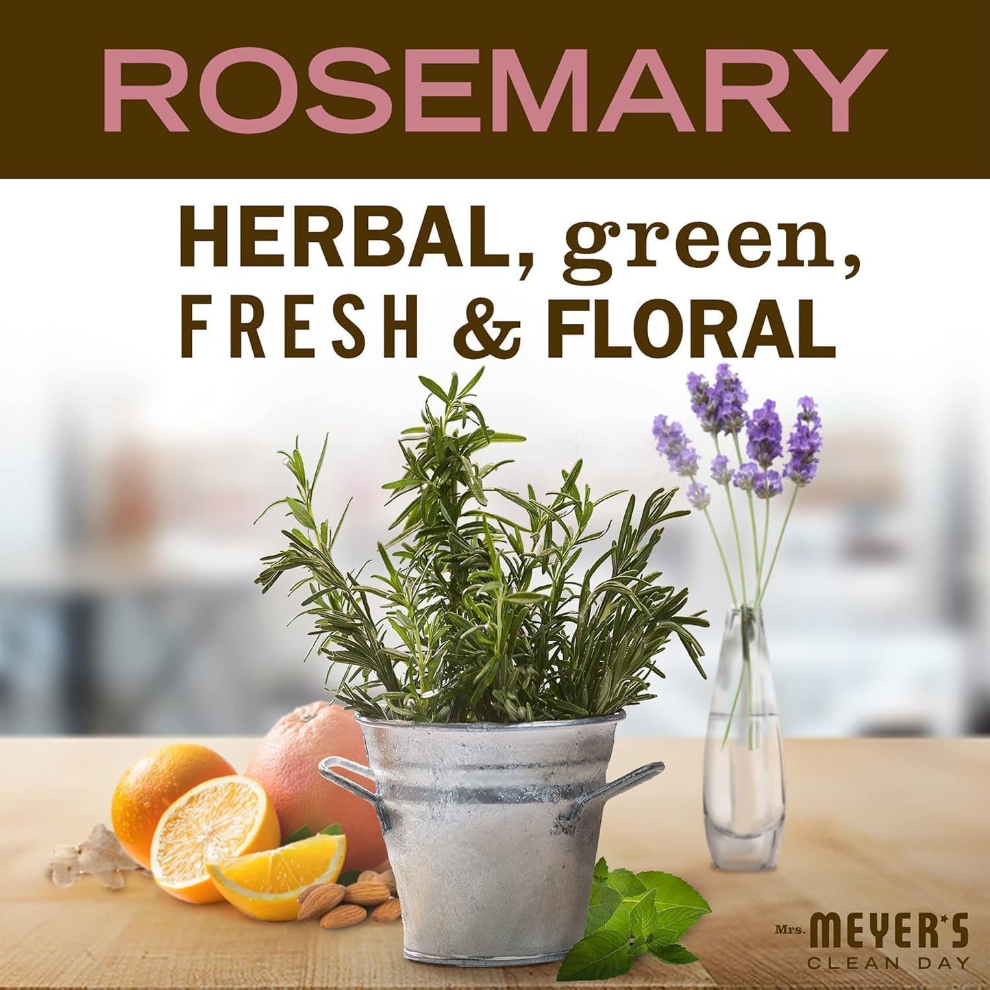 MRS. MEYER'S CLEAN DAY Liquid Dish Soap, Rosemary Scent, 16 ounce (Pack of 6)