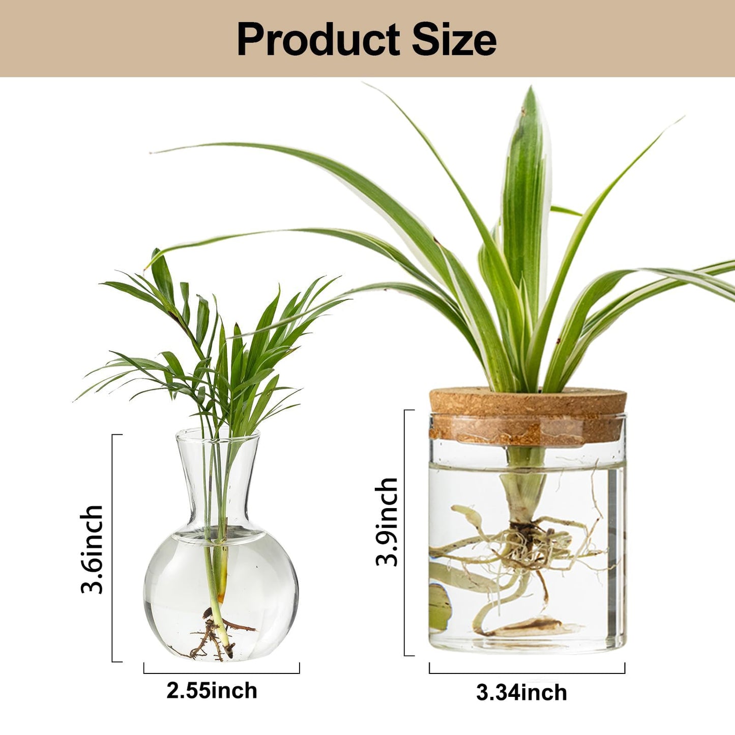 Plant Propagation Stations, 2 Style Glass Planter Terrariums, Propagation Vases for Plant, Plant Propagation Jars for Hydroponic Planter Home Office Tabletop Decoration (6)