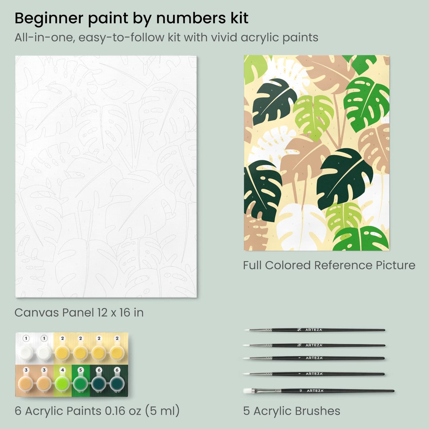 ARTEZA Paint by Numbers Kit, 12x16 Inches, 21 Pieces, Monstera Canvas Painting Kit, Canvas Panel, 12 Acrylic Paint Pots, 5 Paintbrushes, Art Supplies for a Meditative and Calming