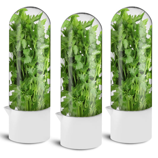3 Pack Herb Saver for Refrigerator Large Fresh Herb Keeper Cilantro Container for Refrigerator Vegetable Preservation Container for Cilantro Asparagus Mint Rosemary Parsley Basil for 2-3 Weeks