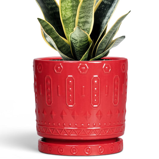 Eightpot 6 Inch Plant Pot, Ceramic Flower Pots for Indoor Outdoor Plants, Round Pots for Plants with Drainage Hole and Tray, Boho Decorative Planter, Kitchen Decor, Gardening Gifts for Women, Red